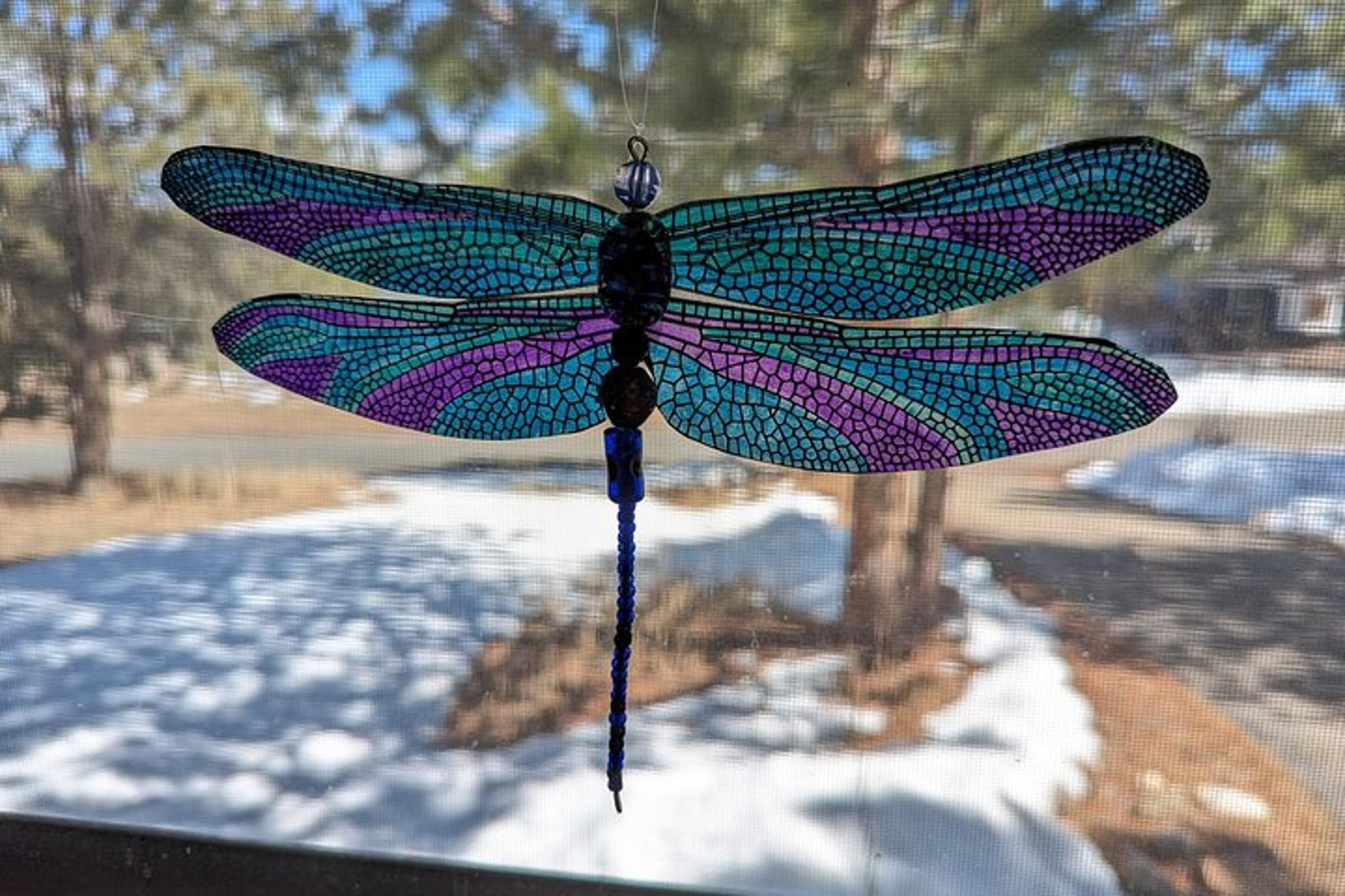 Estes Park Art Kit Experience - Image 4
