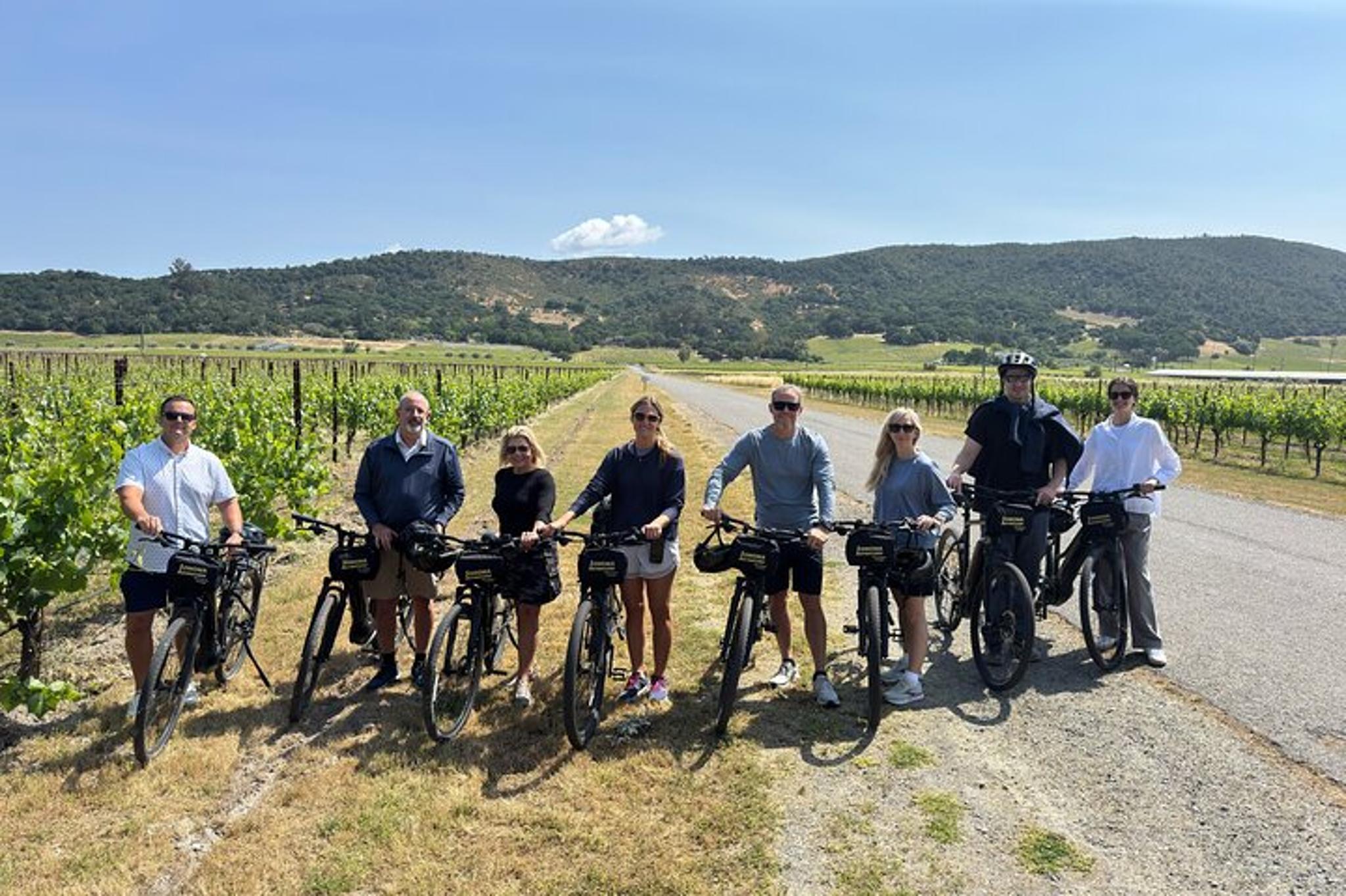 Sonoma Food and Wine E-Bike Tour - Image 2