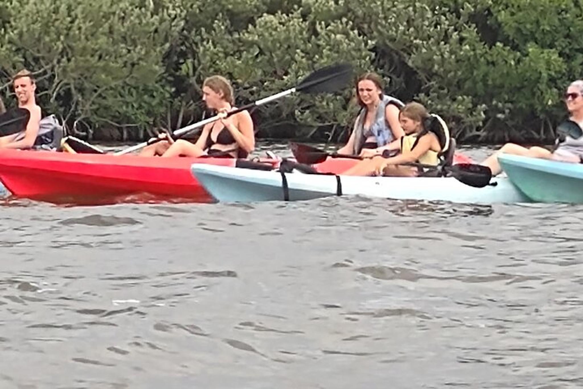 Manatee Cove Kayak Rental with Wildlife Sightings - Image 2