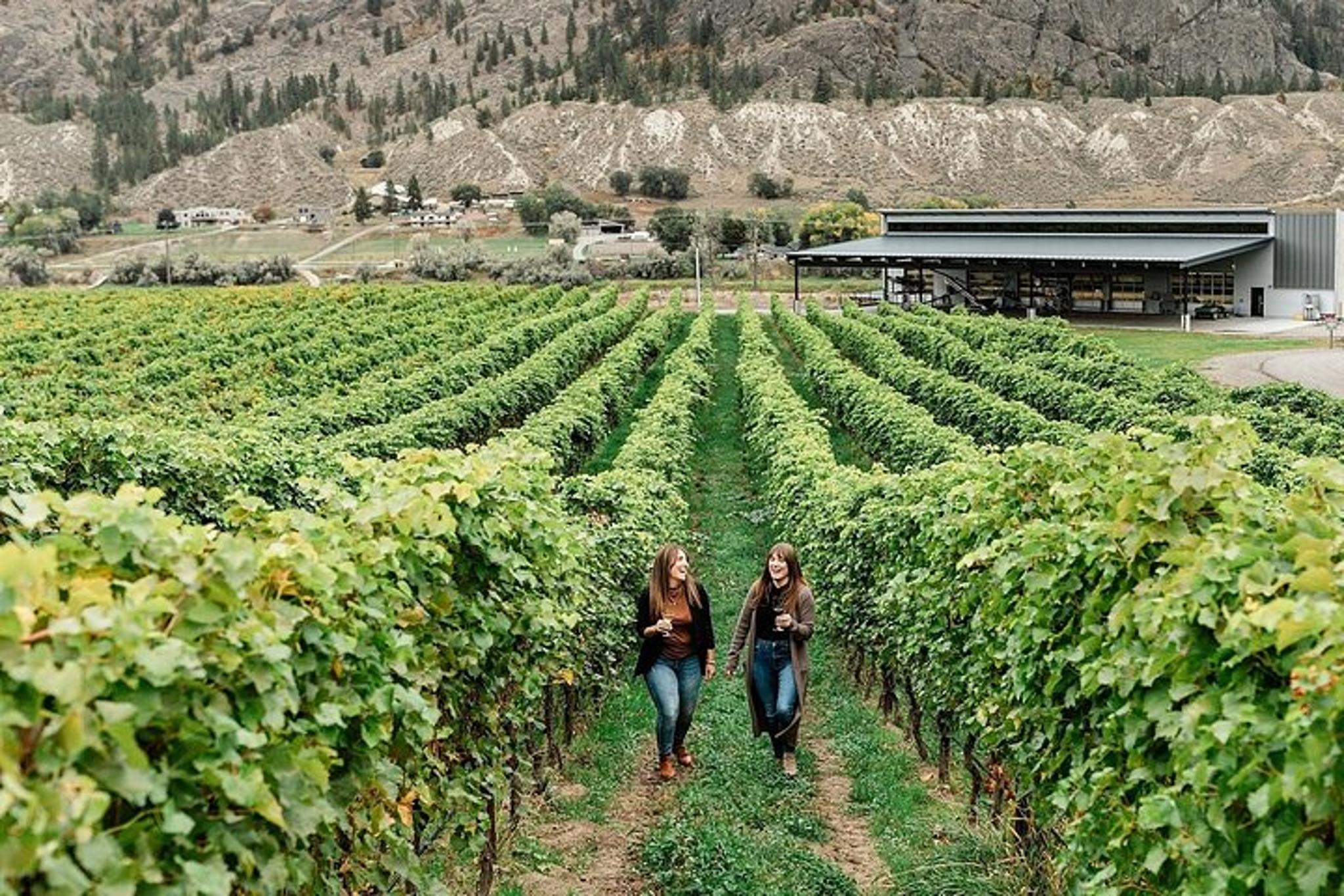 New York Wine Tour to Hamptons - Image 3