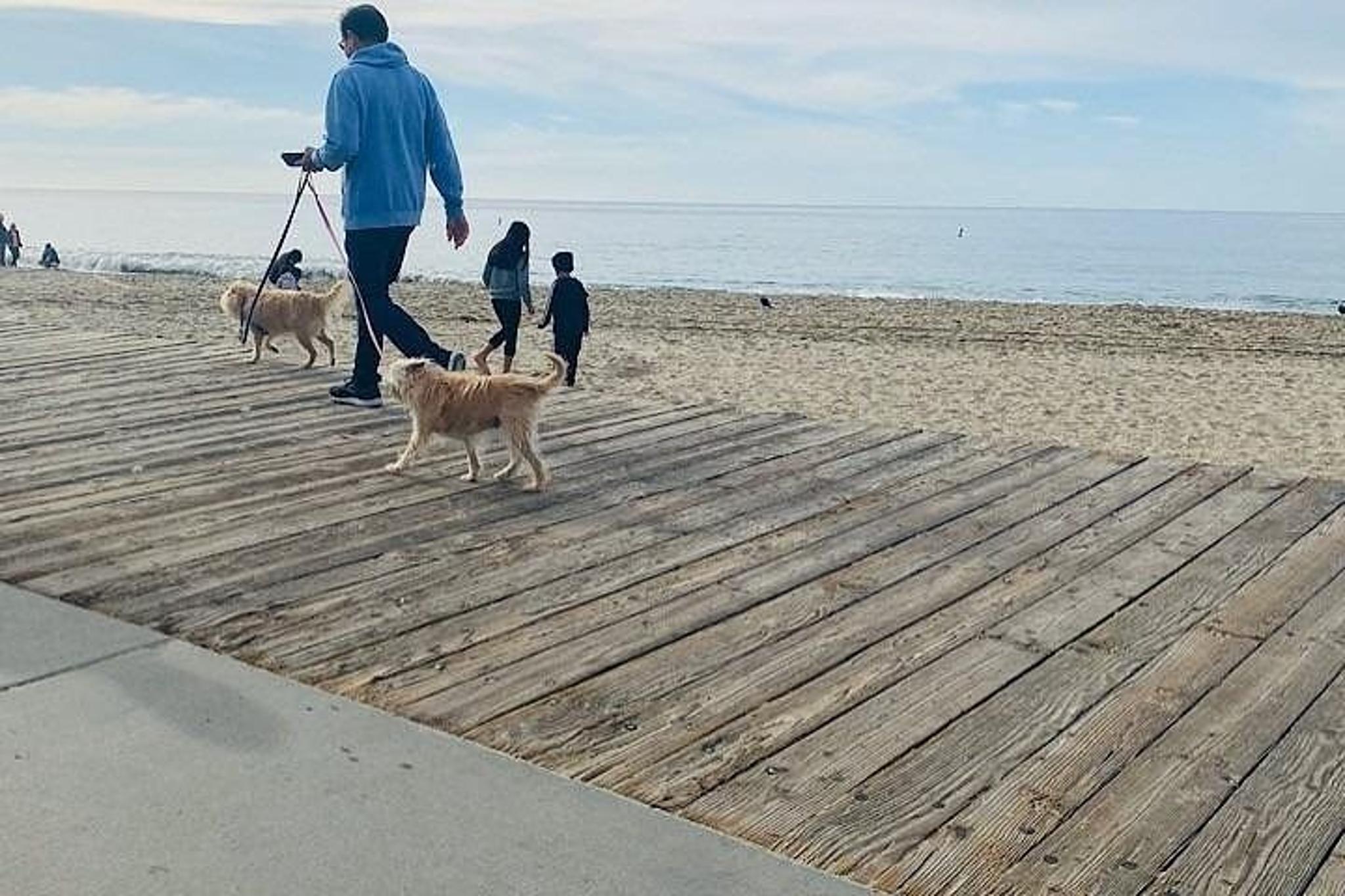 Laguna Beach & Balboa Pier Private Tour - Image 3