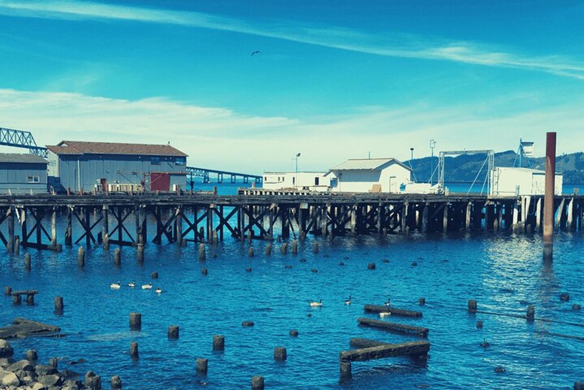 Monterey Ocean Trolley and Walking Tour - Image 6