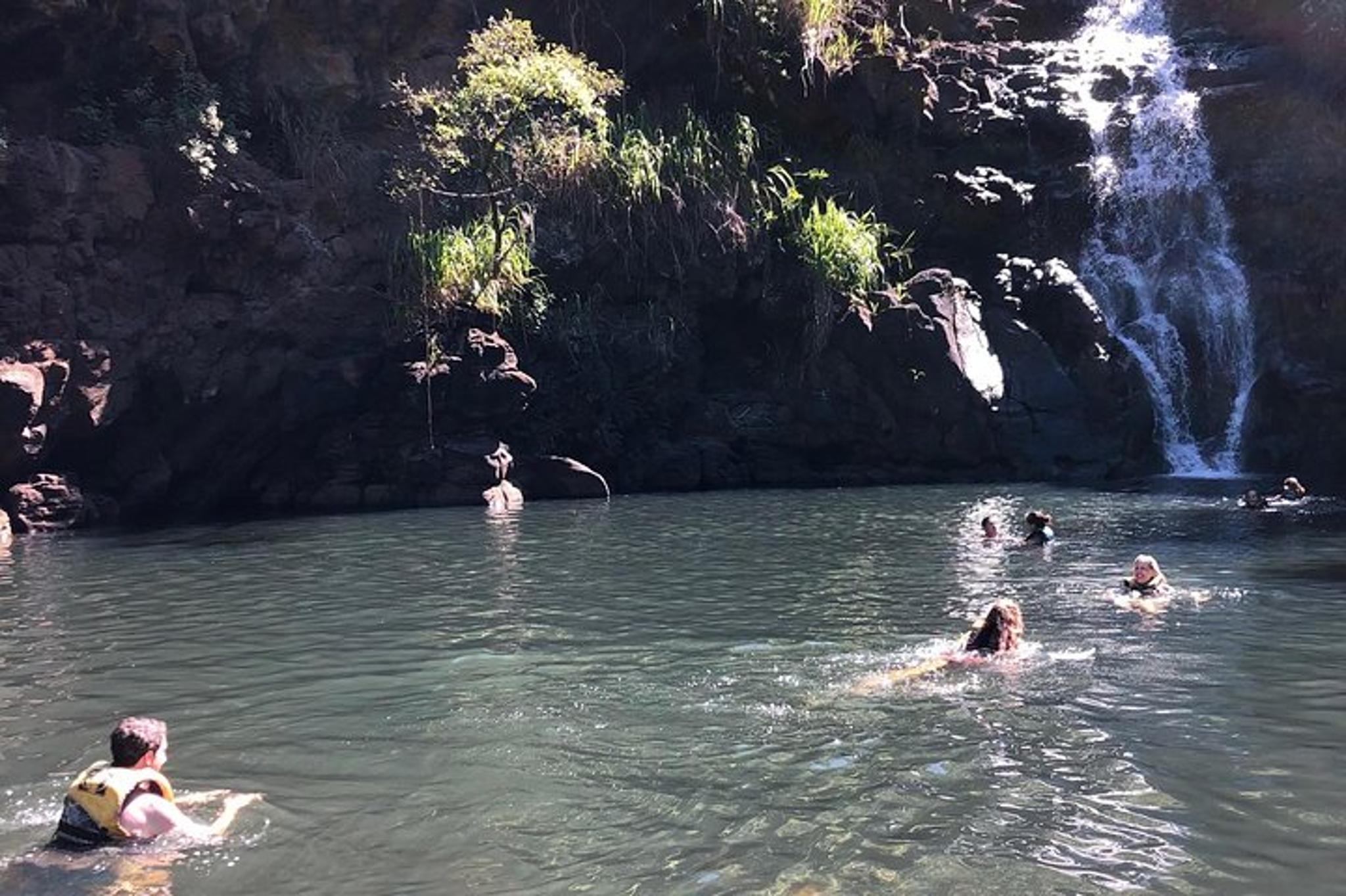 Oahu Surf and Sea Turtles Tour - Image 2