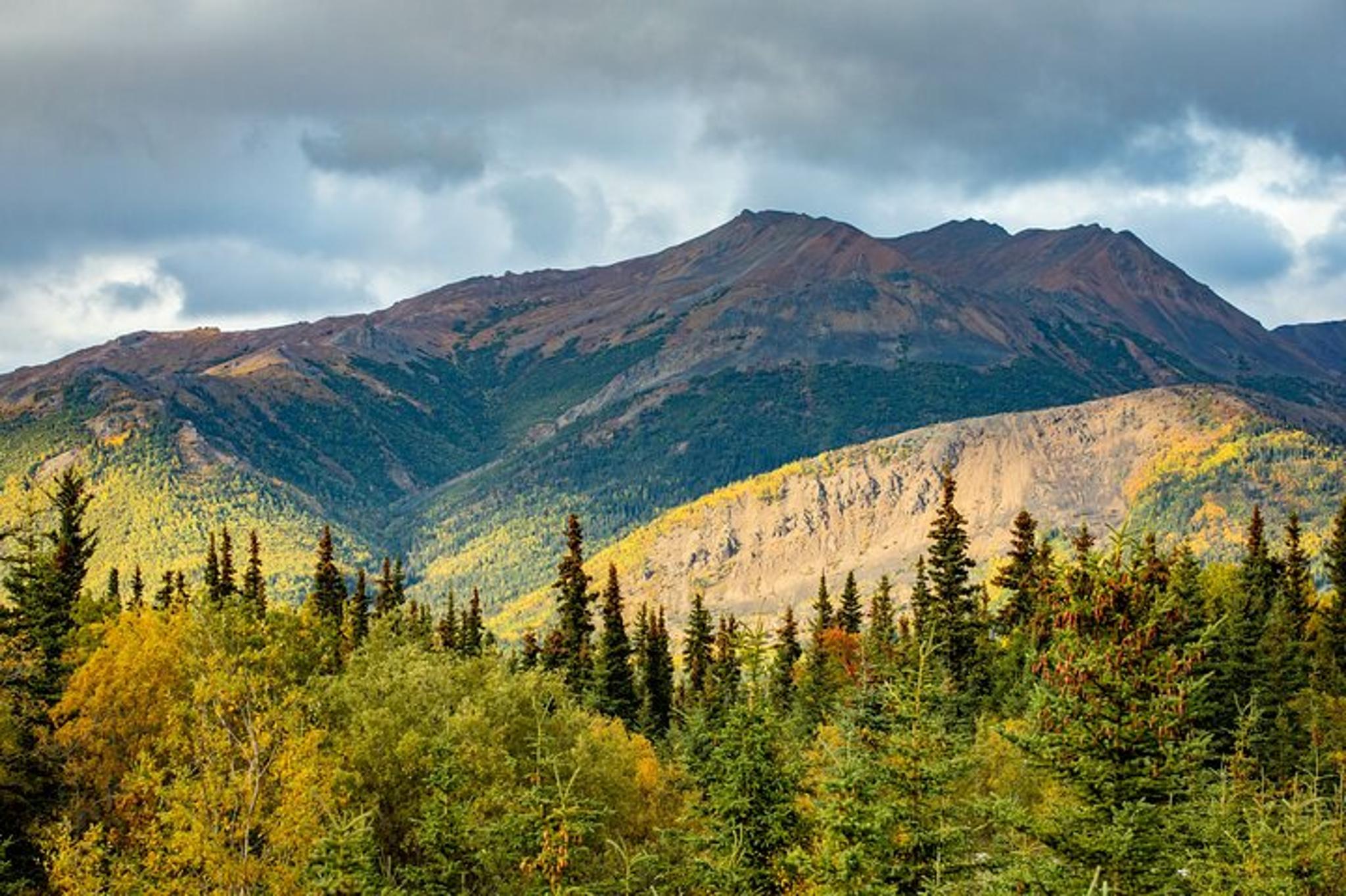 Fairbanks Denali National Park Day Tour
