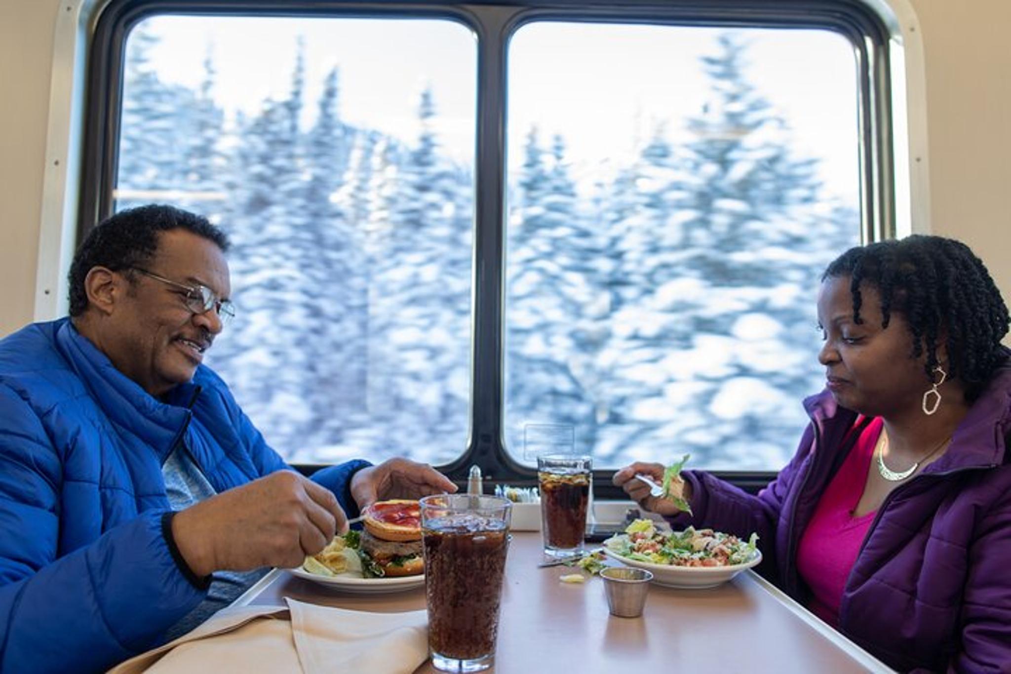 Fairbanks to Anchorage Aurora Winter Train - Image 4