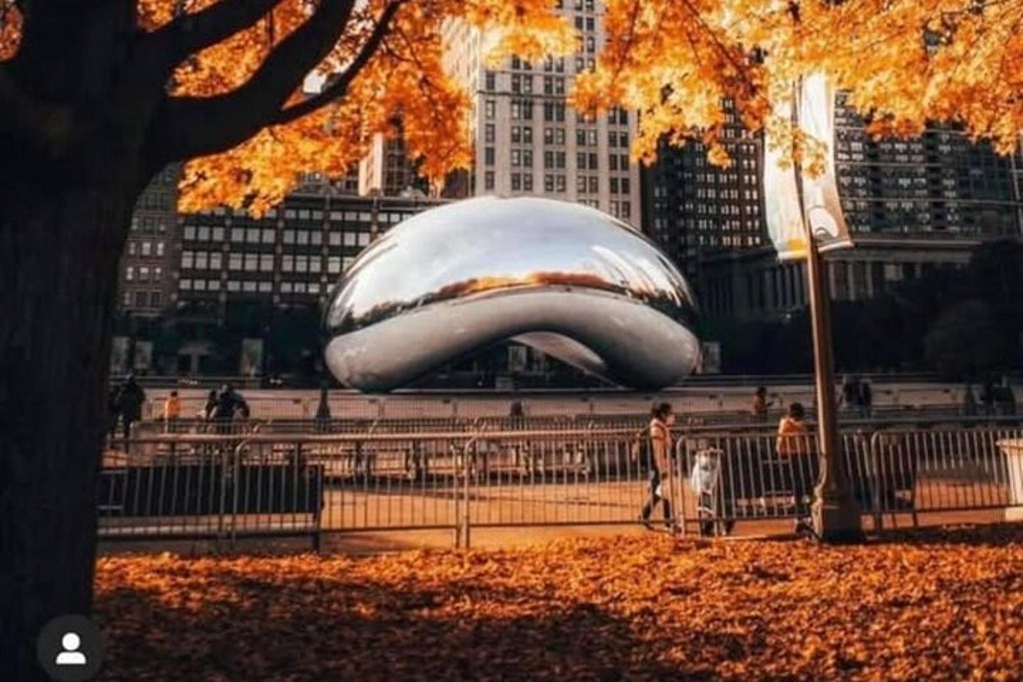 Chicago City Tour with Local Guide - Image 2