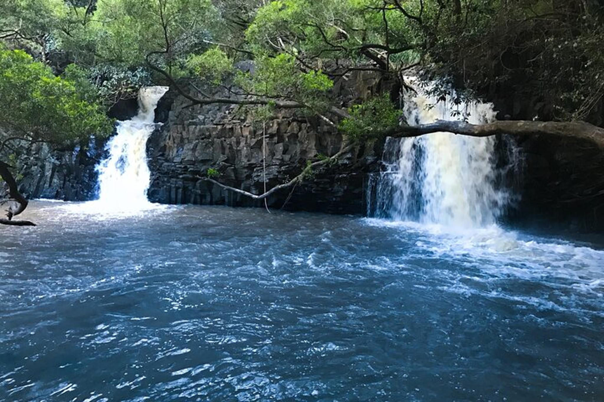 Maui Waterfall, Beach & Hana Tour - Image 5