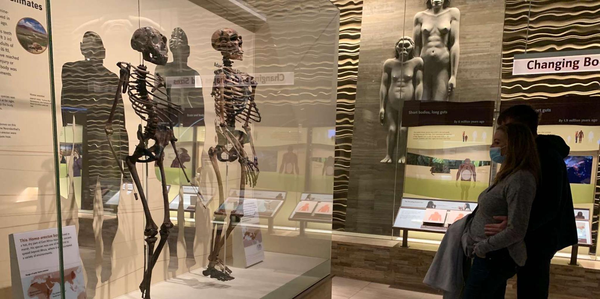 Washington DC Smithsonian Museum of Natural History Tour 2 hr - Image 3