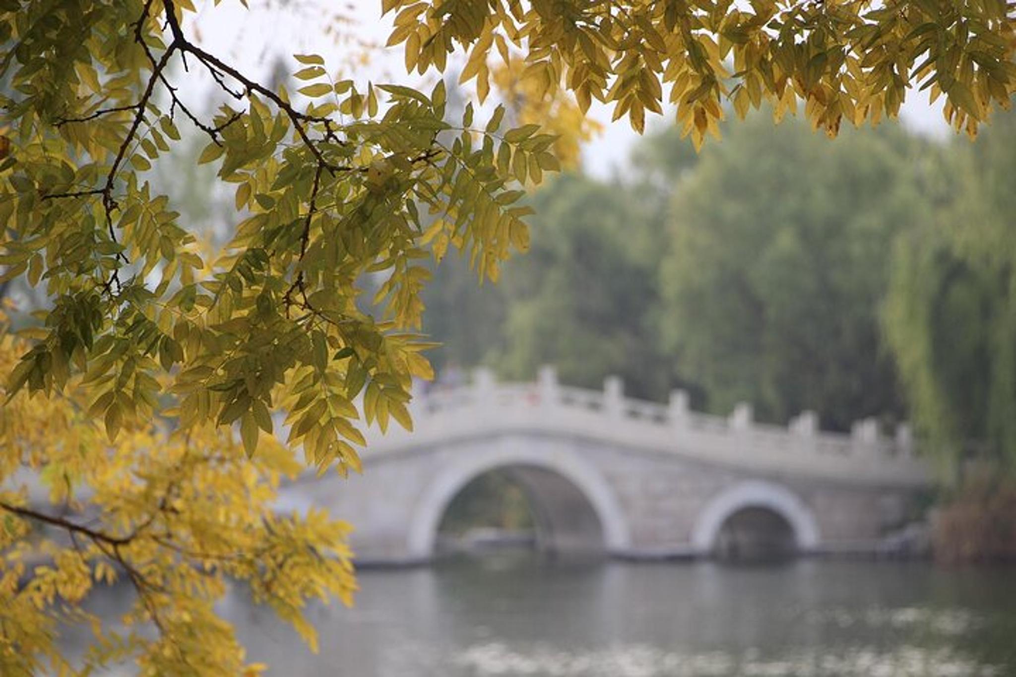 New York City Fall Foliage Cruise - Image 4