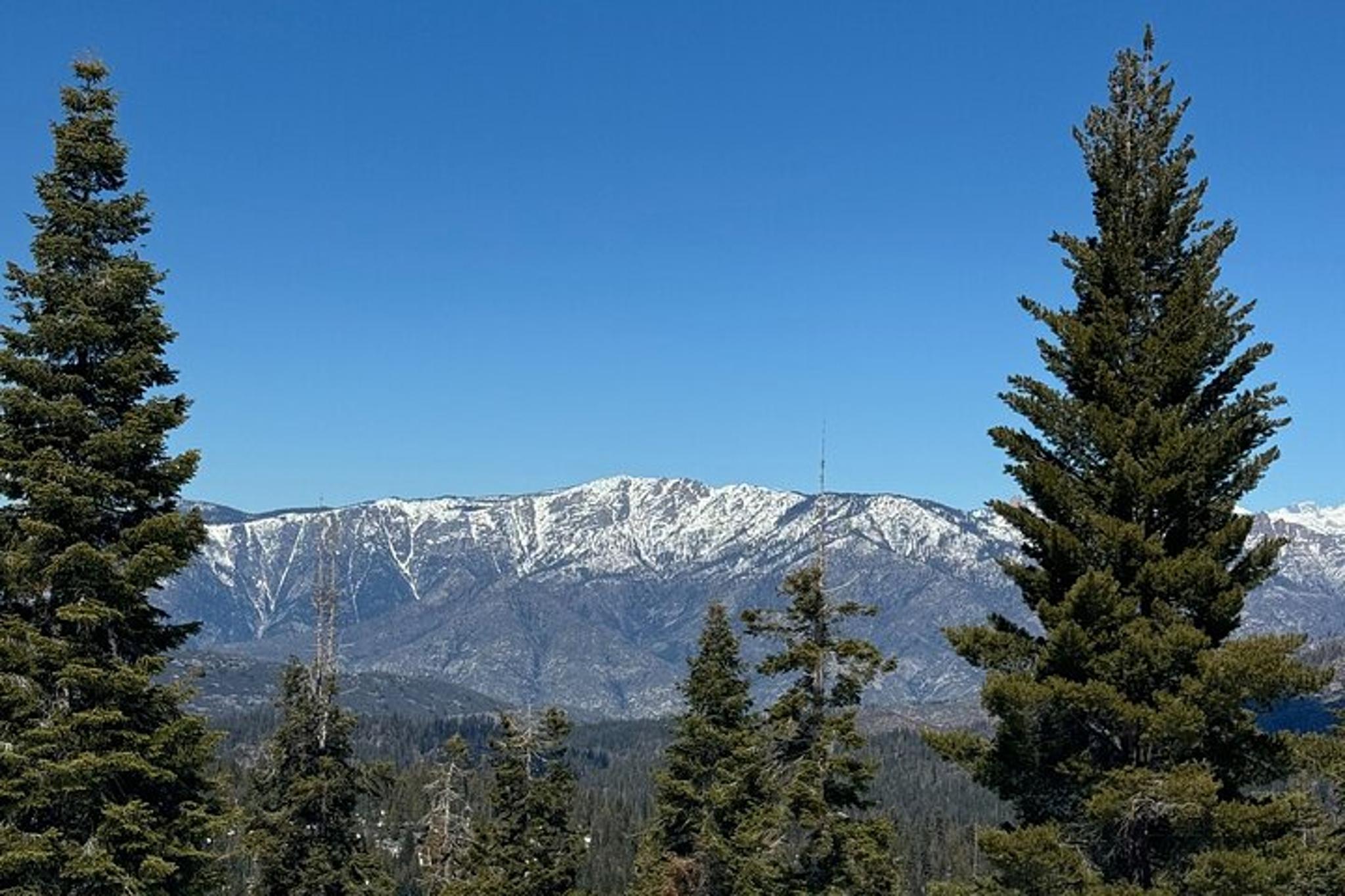 Los Angeles Sequoia and Kings Canyon Private Tour - Image 3