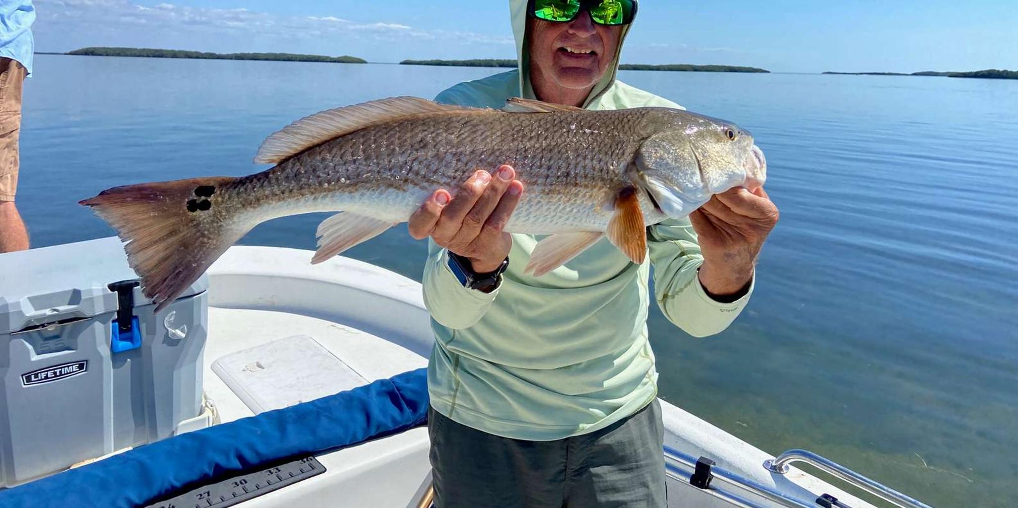 Crystal River Inshore Fishing Half Day - Image 6