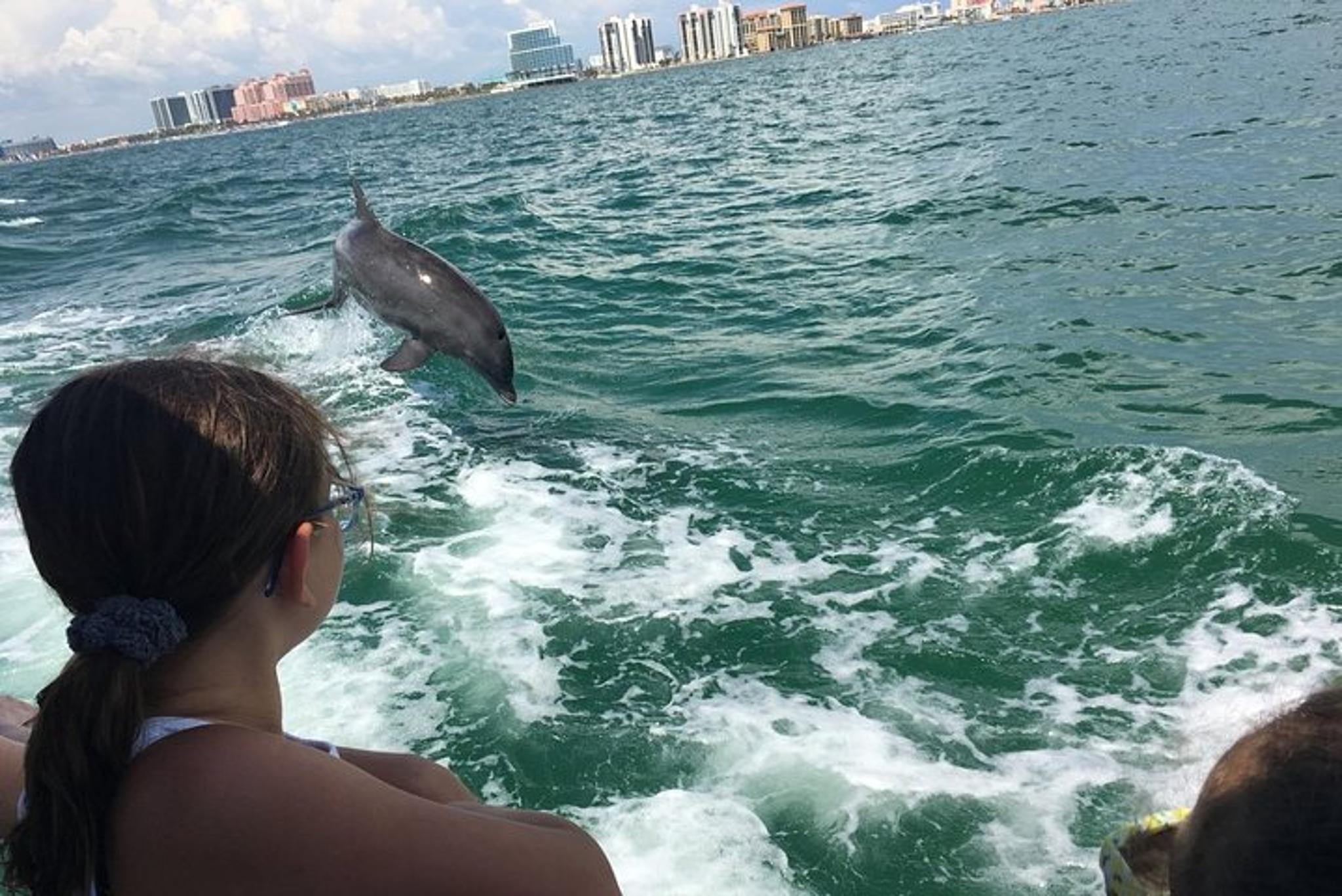 Clearwater Beach Dolphin Adventure - Image 6