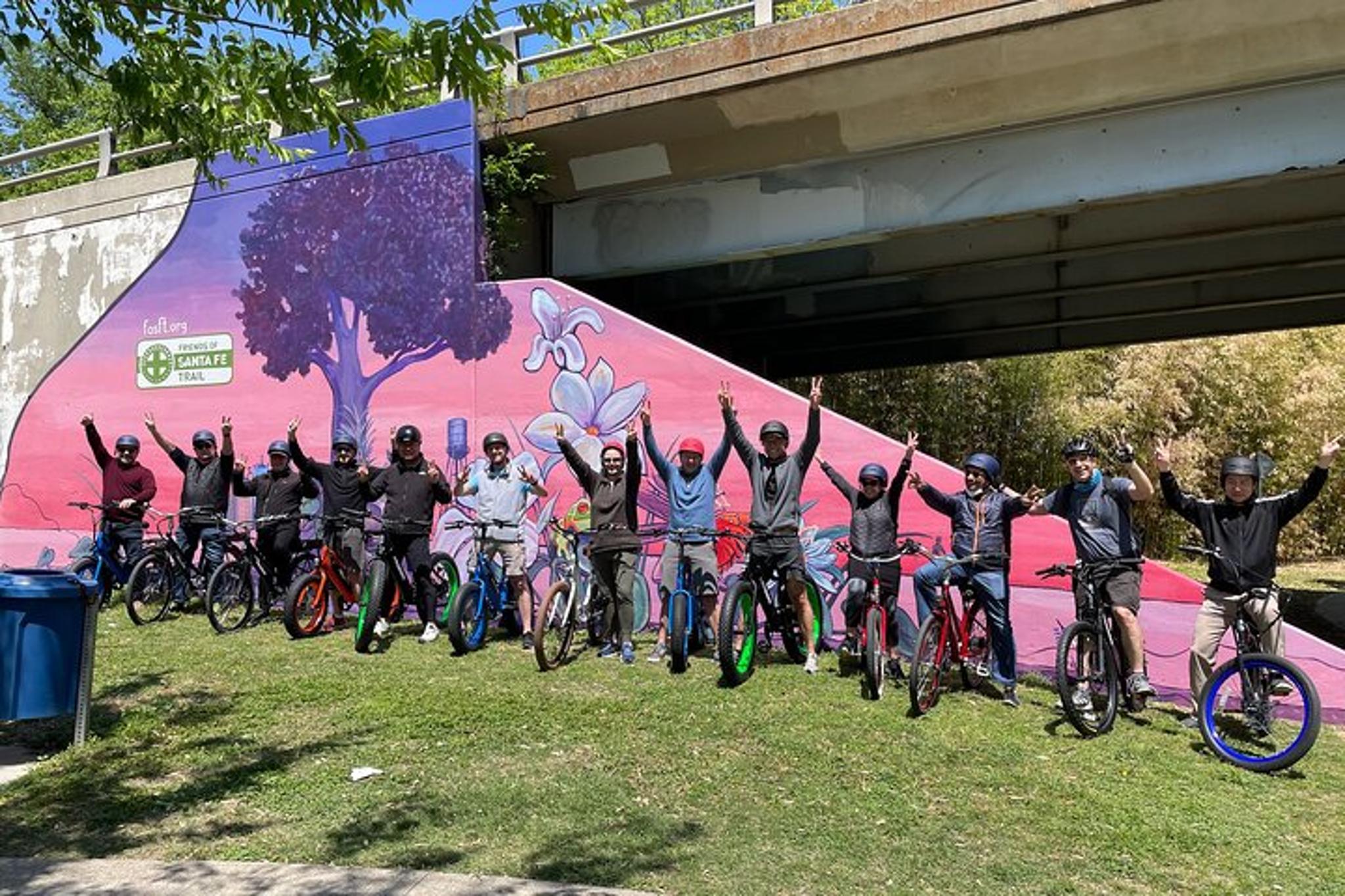 Dallas Electric Bike Rental - Image 4