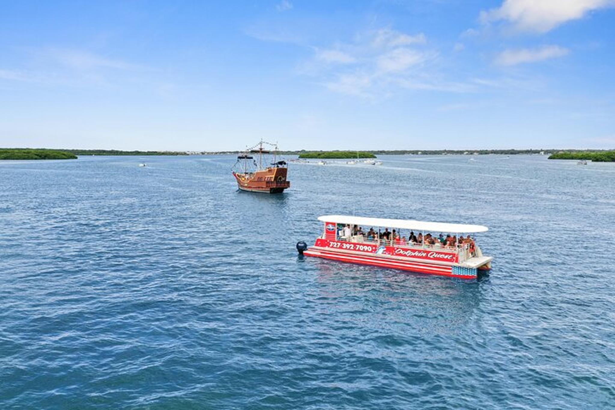 Madeira Beach Dolphin Watching Eco Cruise 90 Min
