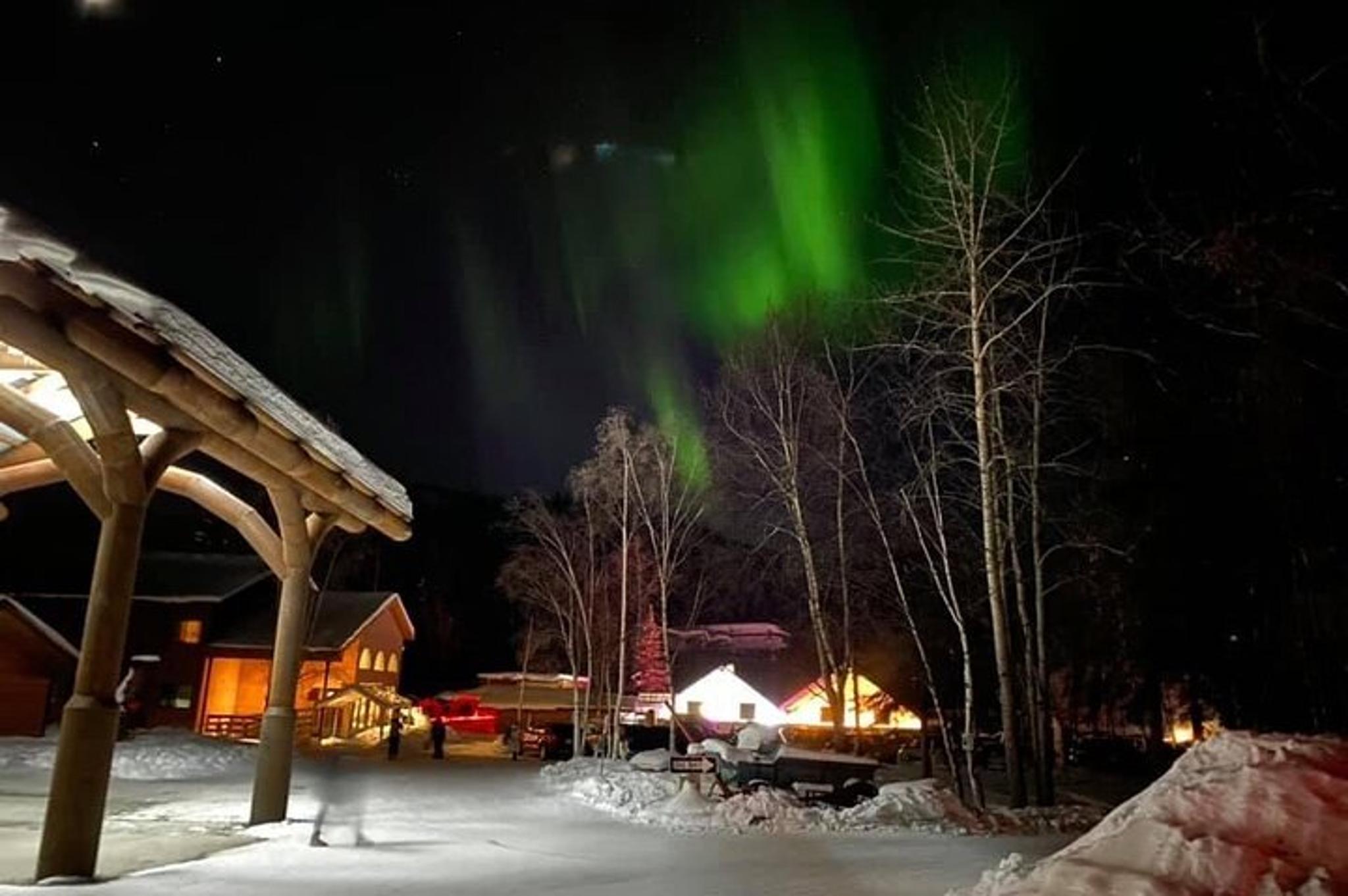 Chena Hot Springs Tour - Image 5