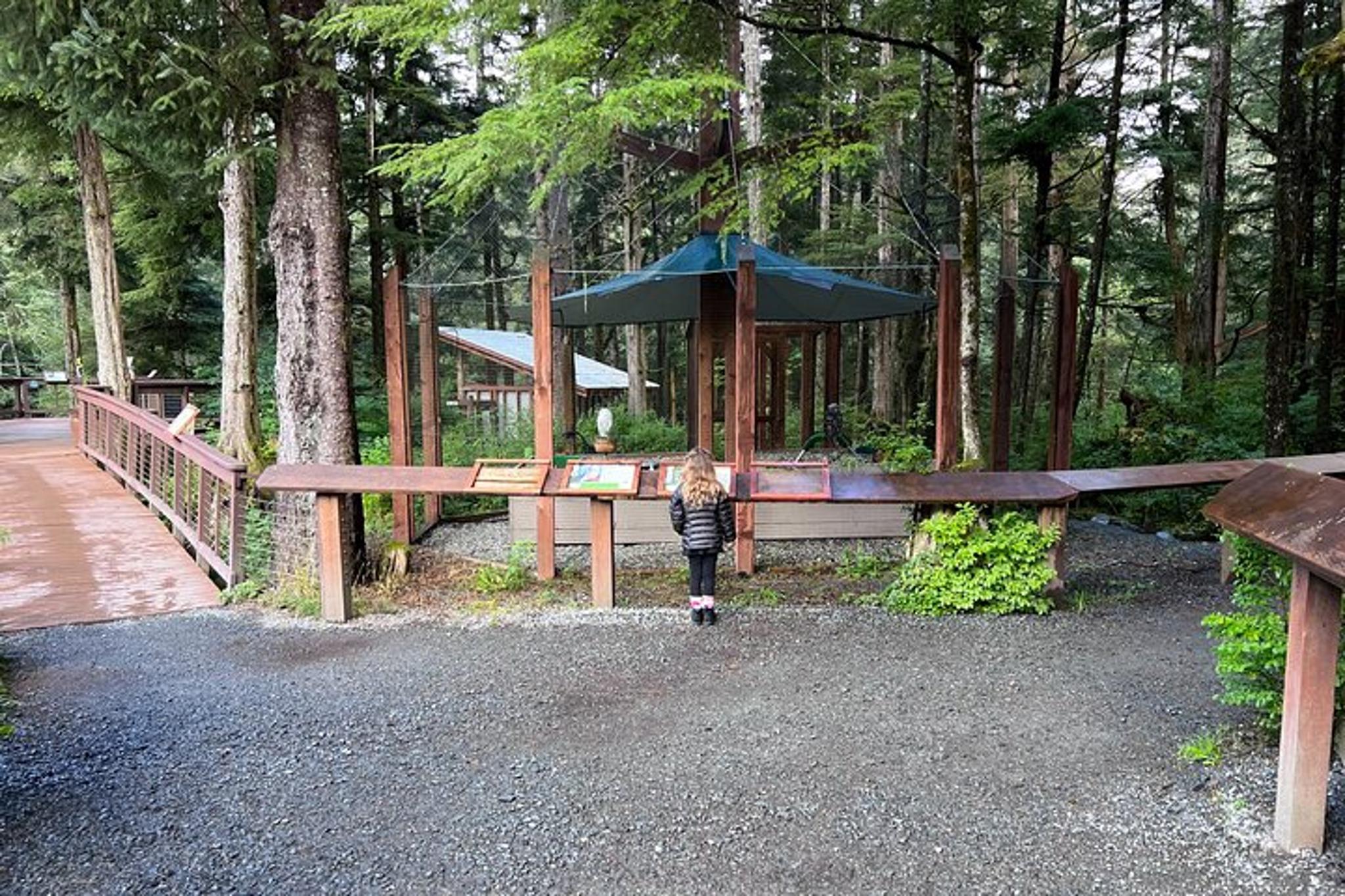 Sitka Land Tour: Top Attractions and Scenic Points - Image 4