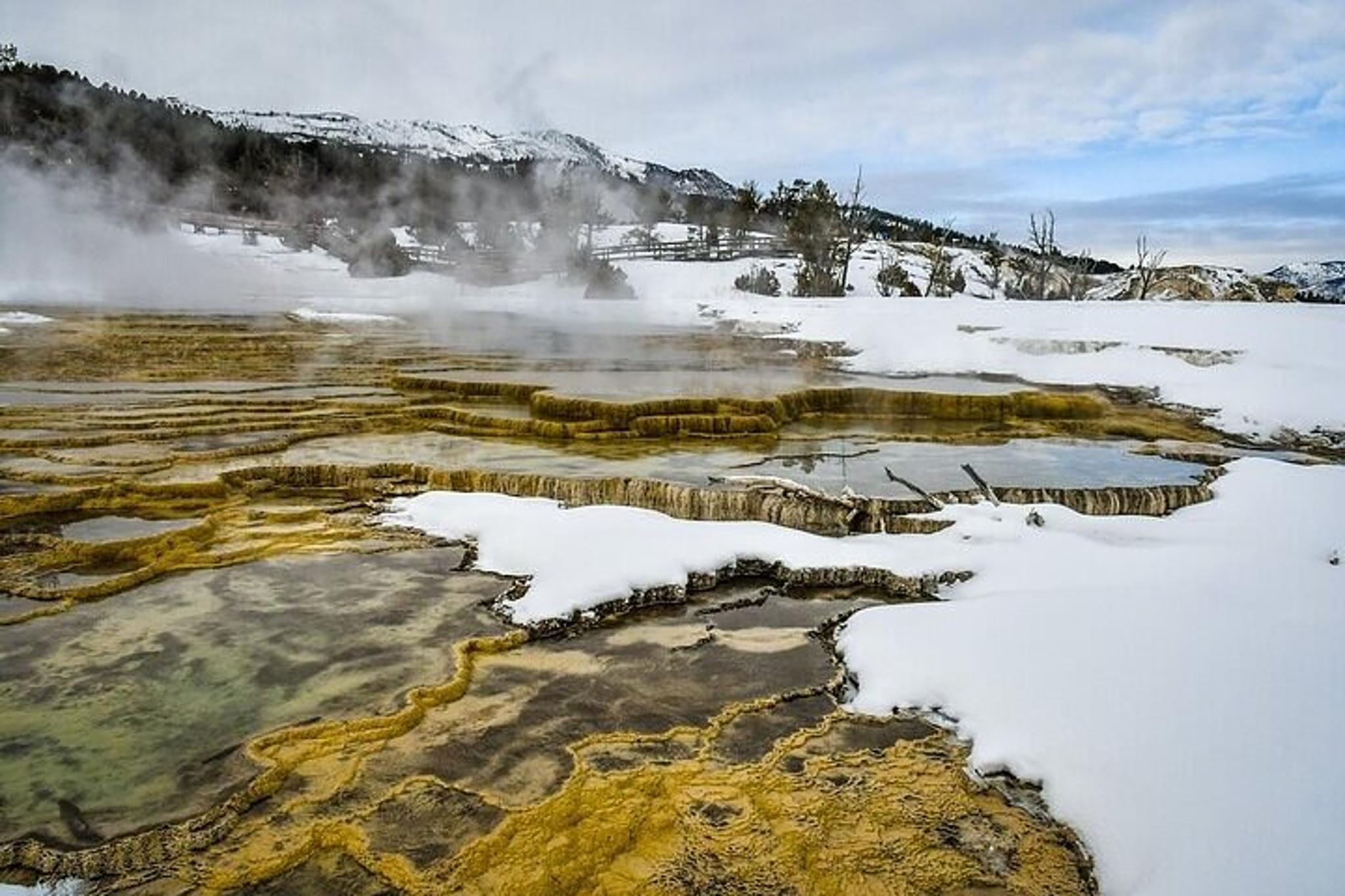 Yellowstone & Grand Teton Winter Tour 5-Day - Image 5