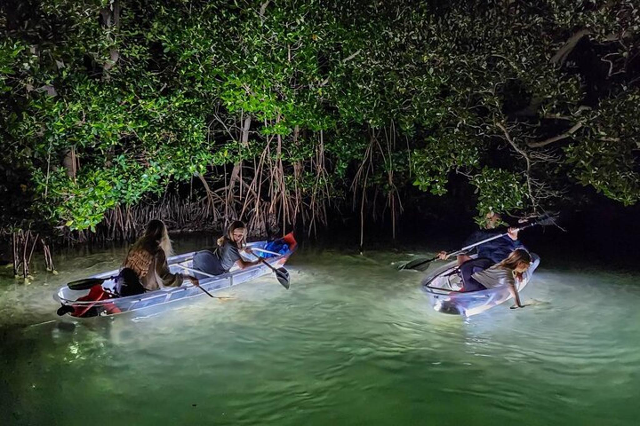 Siesta Key Clear Kayak LED Night Tour 75 Min - Image 5