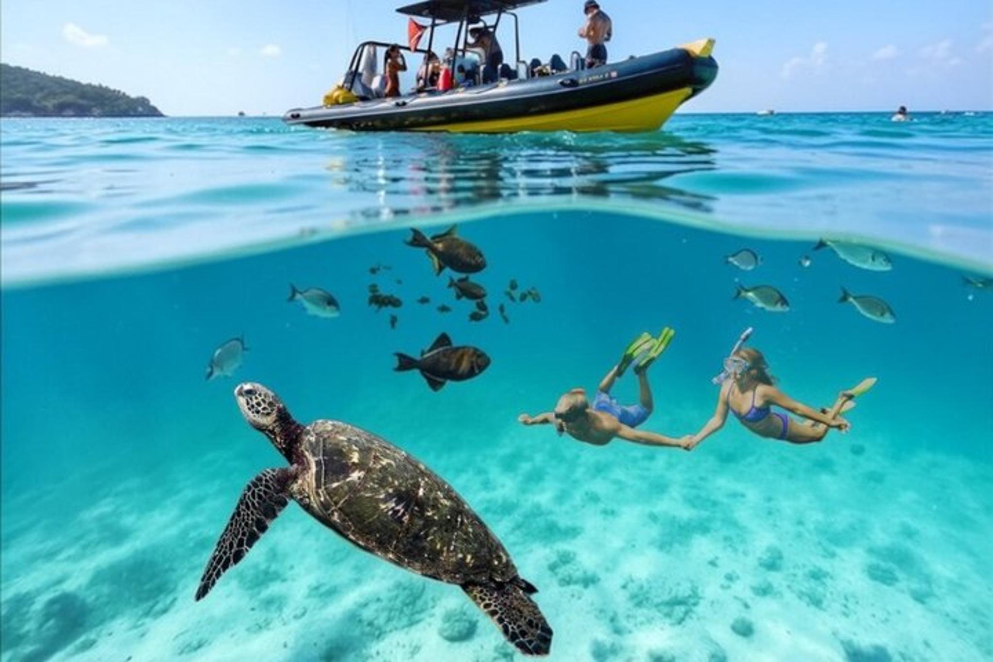 Waikiki Snorkel Tour at Turtle Canyon 105 min
