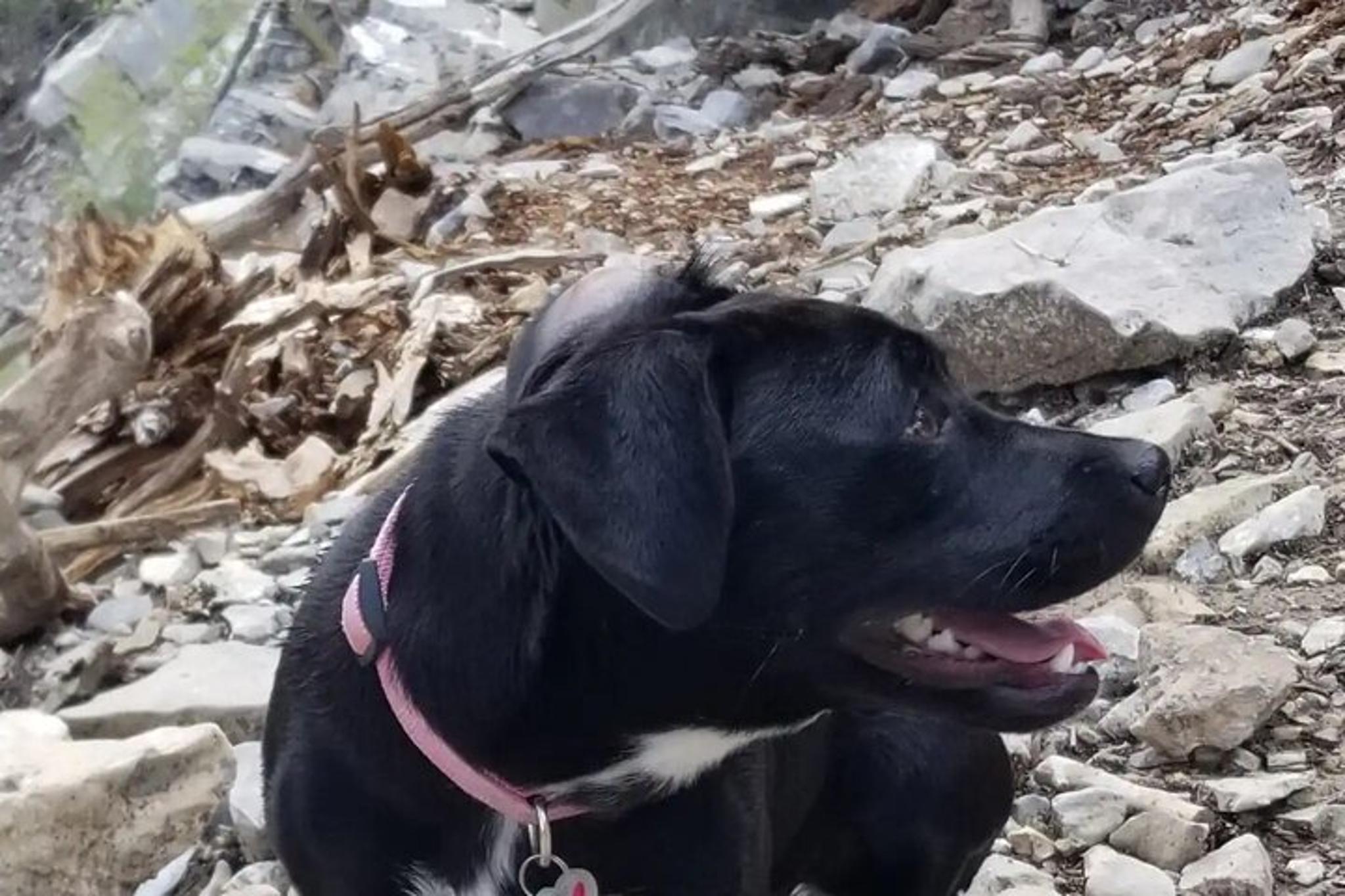 Las Vegas Night Hiking Tour with Strip Views 2 hr - Image 2