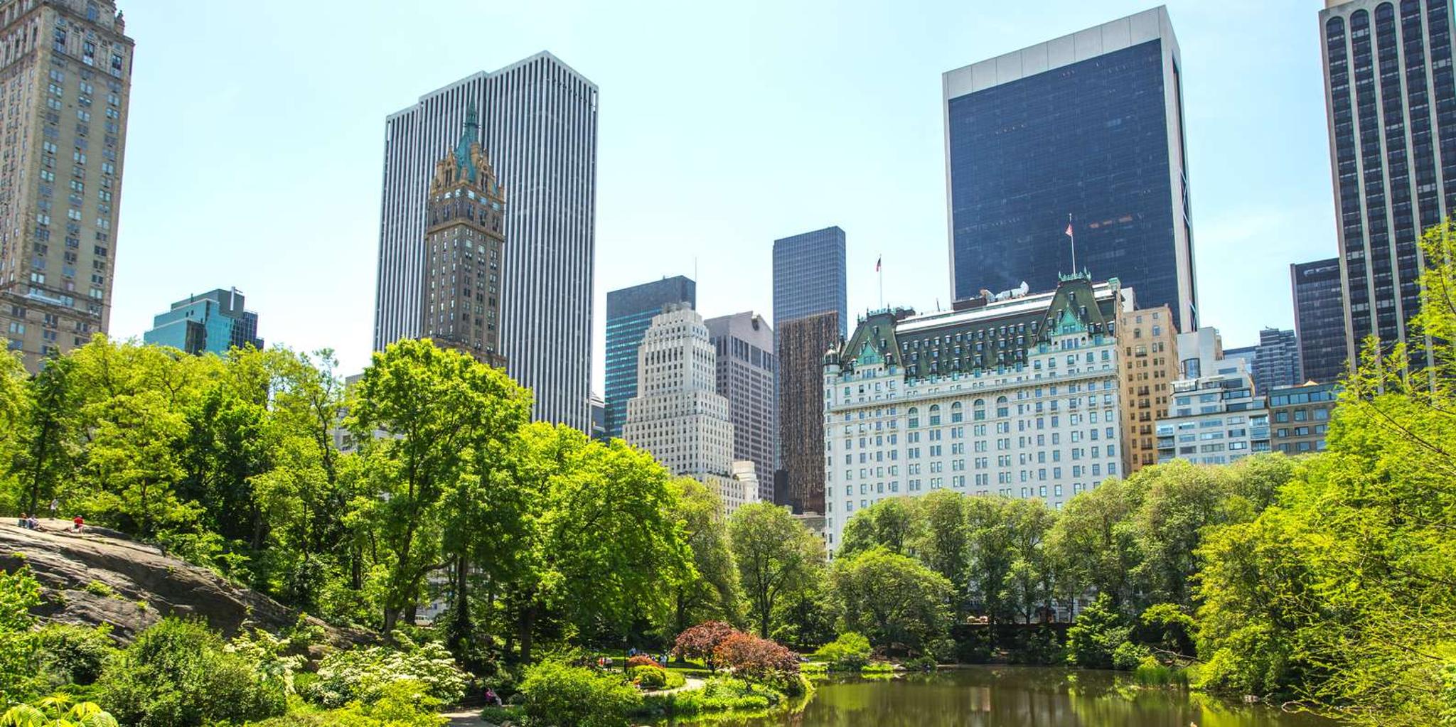 New York City Central Park Private Walking Tour - Image 3