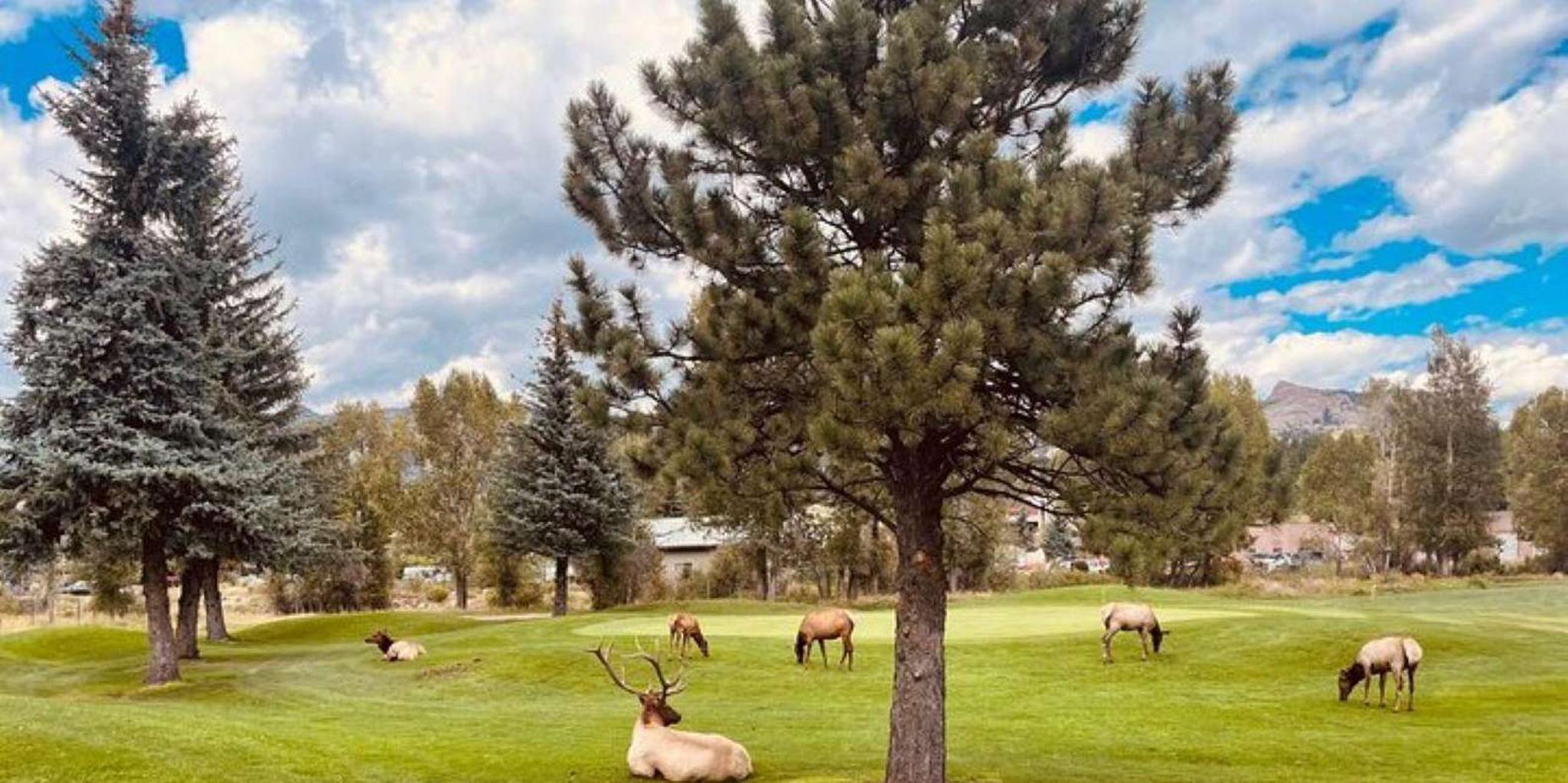 Estes Park Guided E-Bike Tour - Image 6
