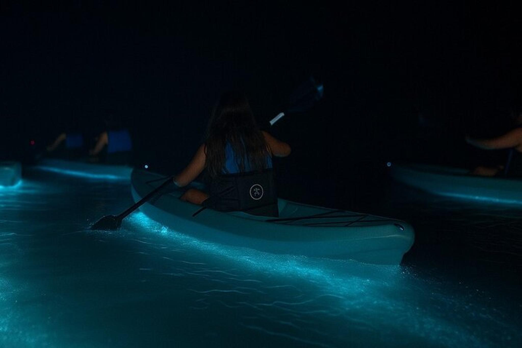 Cocoa Beach Kayak Tour with Dolphins and Manatees - Image 3