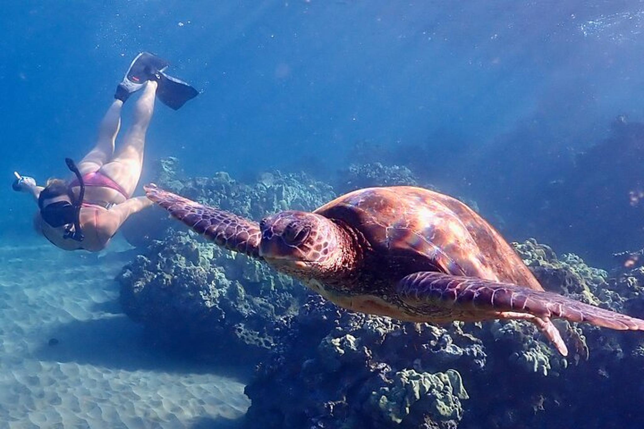 Maui Snorkeling Tour with Free Photo and Video 90 min