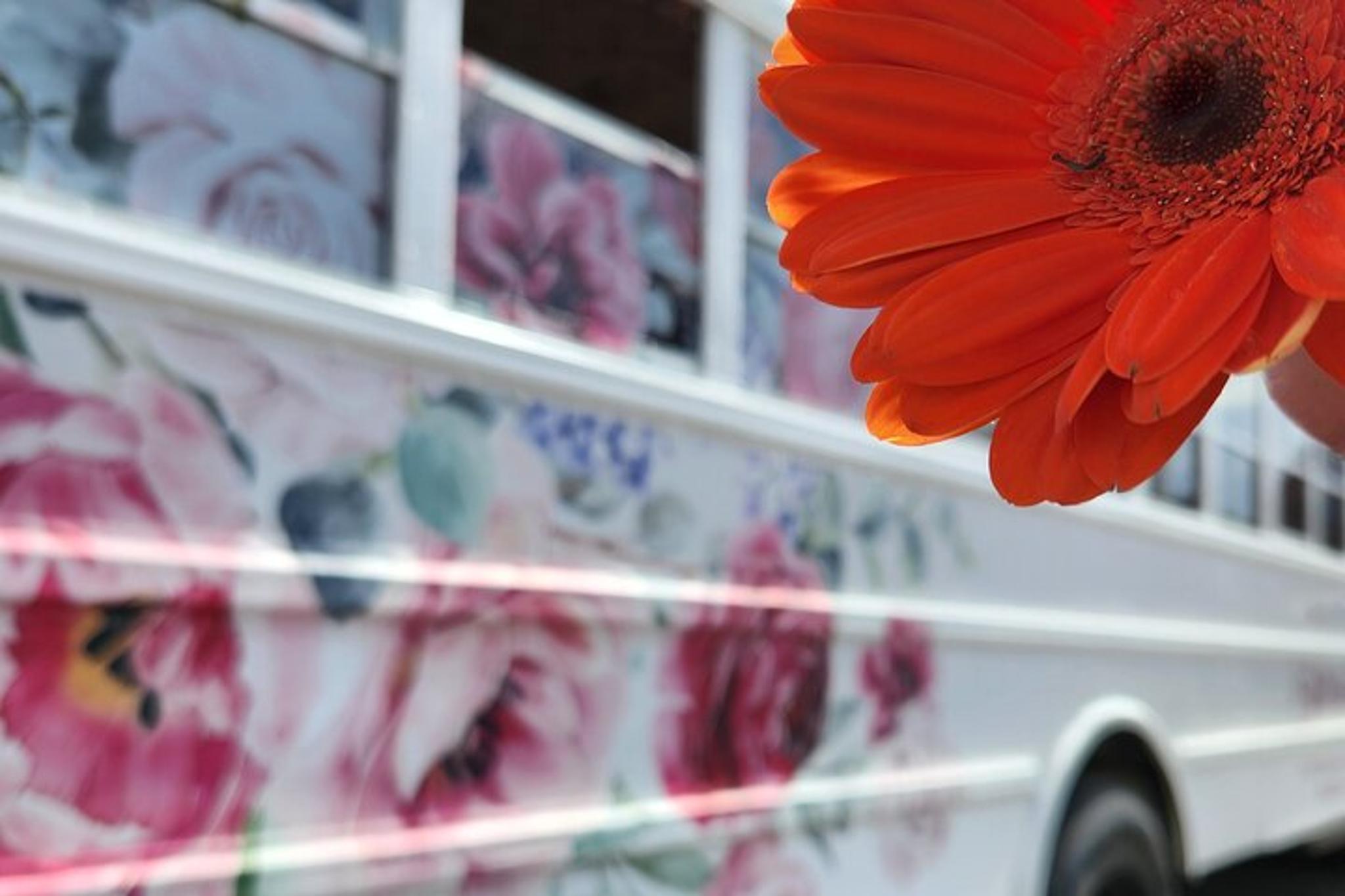 Charlotte Bridgerton Inspired Tea Tour 2 hr - Image 2