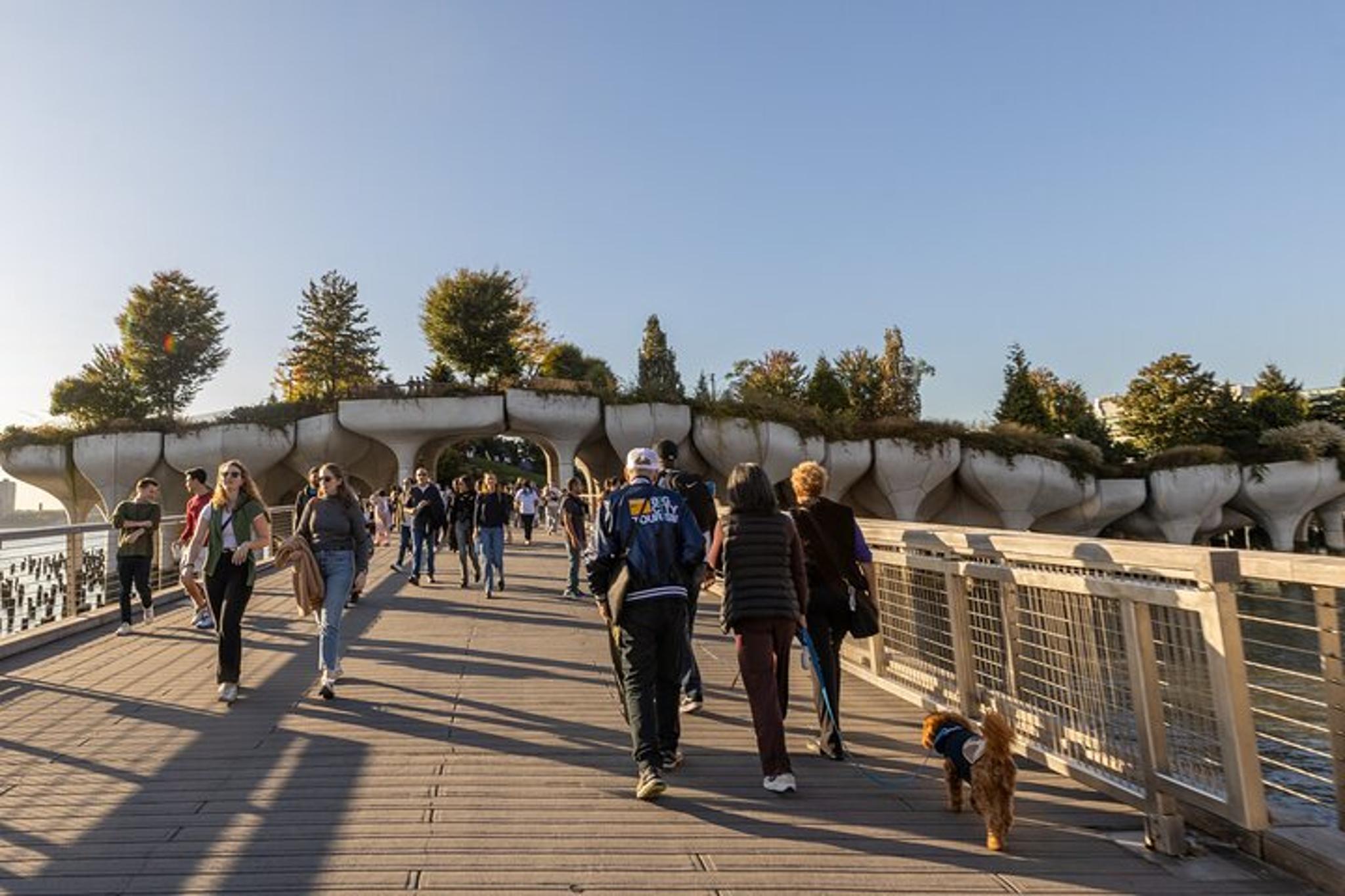 New York City Walking Tour with Local Guide - Image 2