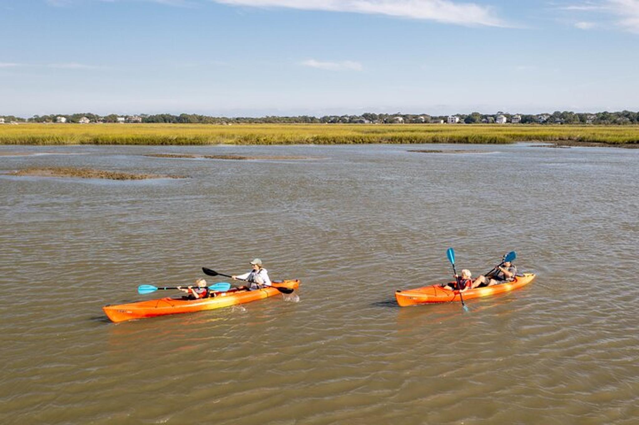 Folly Beach Dolphin Kayak Tour - Image 4