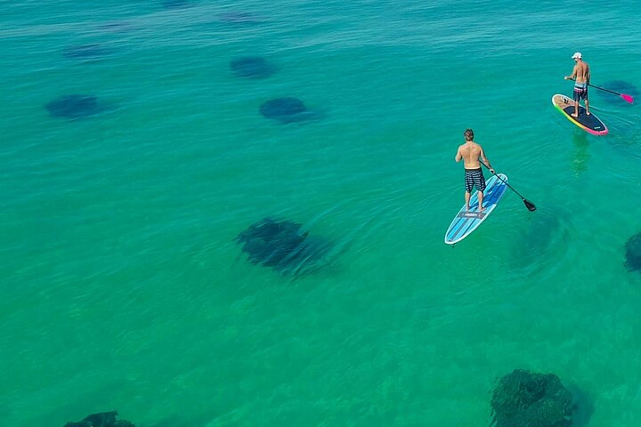 Destin Dolphin and Snorkeling Adventure - Image 4