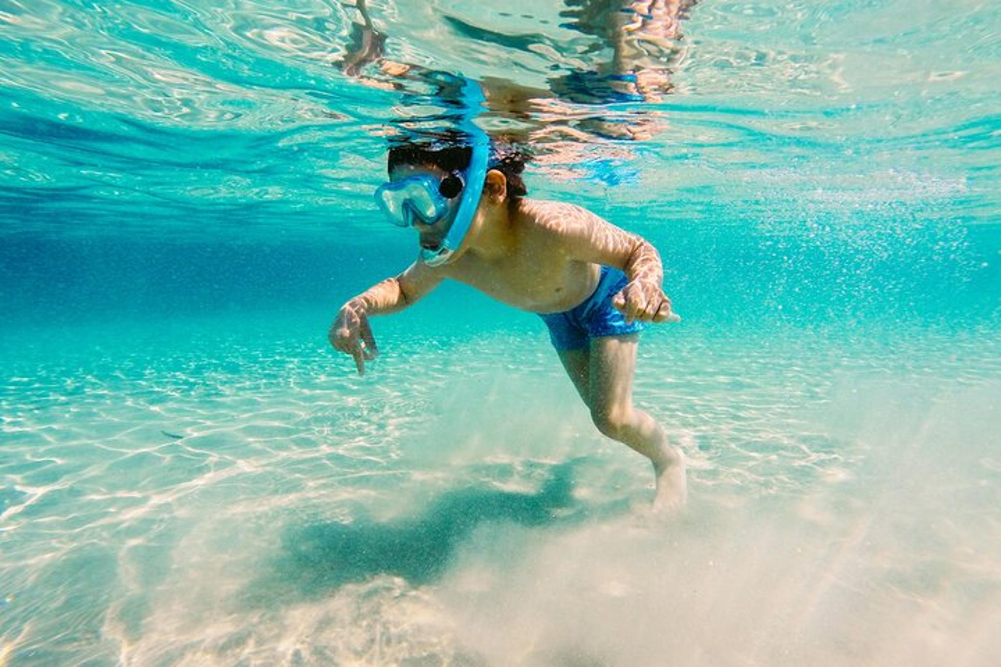 Destin Snorkeling and Dolphin Watching Experience - Image 4