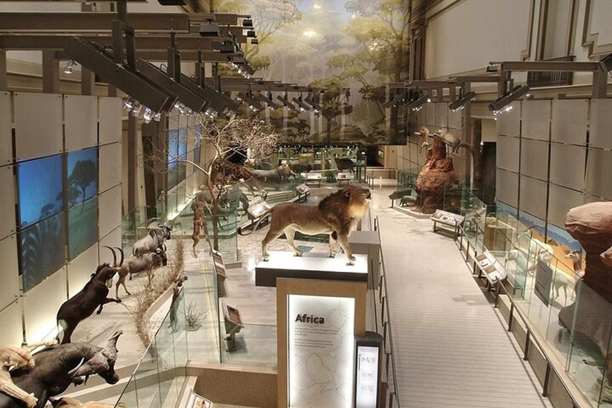 Washington D.C. Smithsonian Museum Chinese Guided Tour 1.5 hr - Image 5