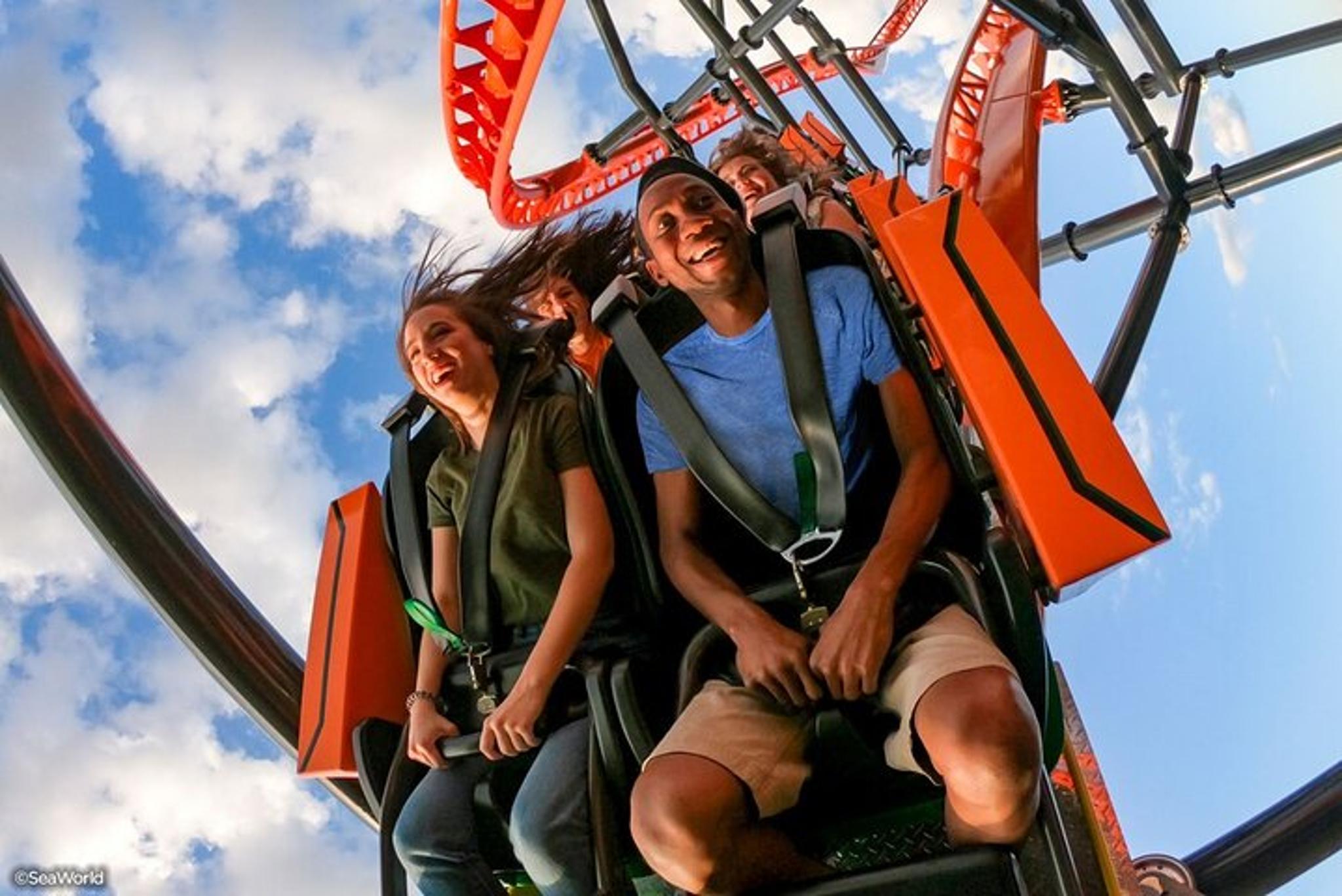 Tampa Bay Busch Gardens Admission Ticket - Image 6