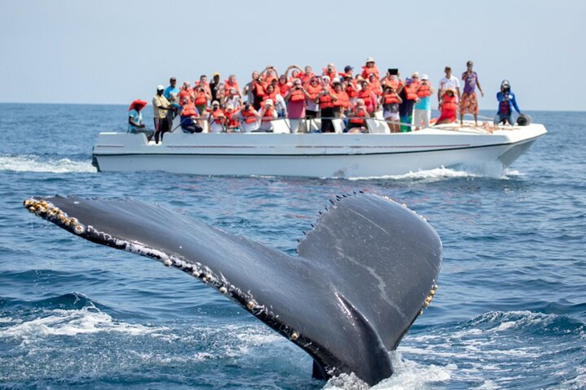 Los Angeles Explorer Pass - Image 5