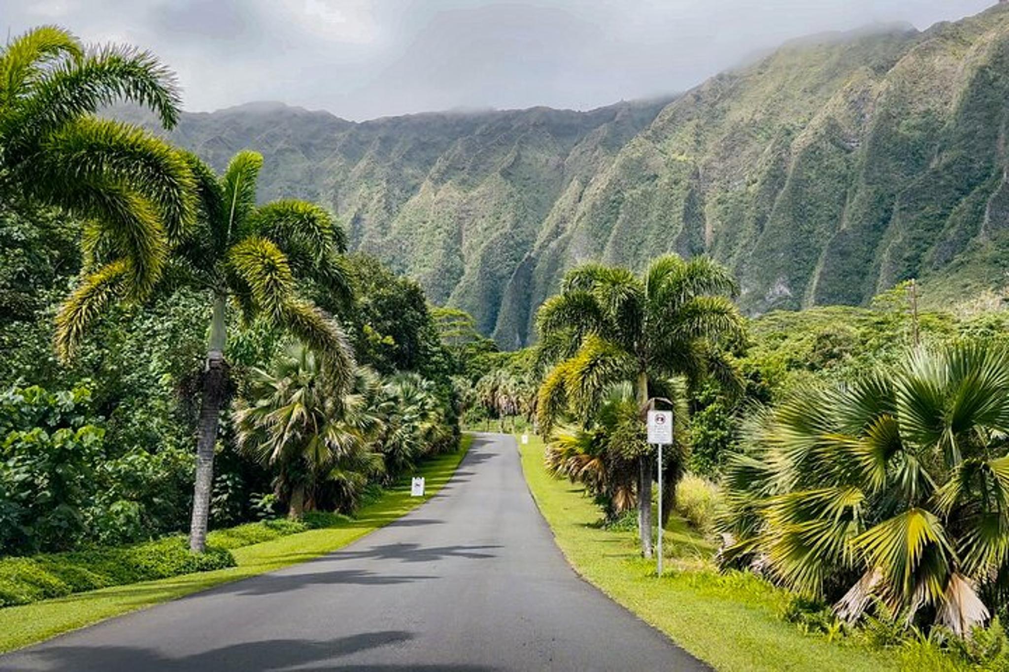 Oahu Nature and Turtle Private Tour 6 hr - Image 5