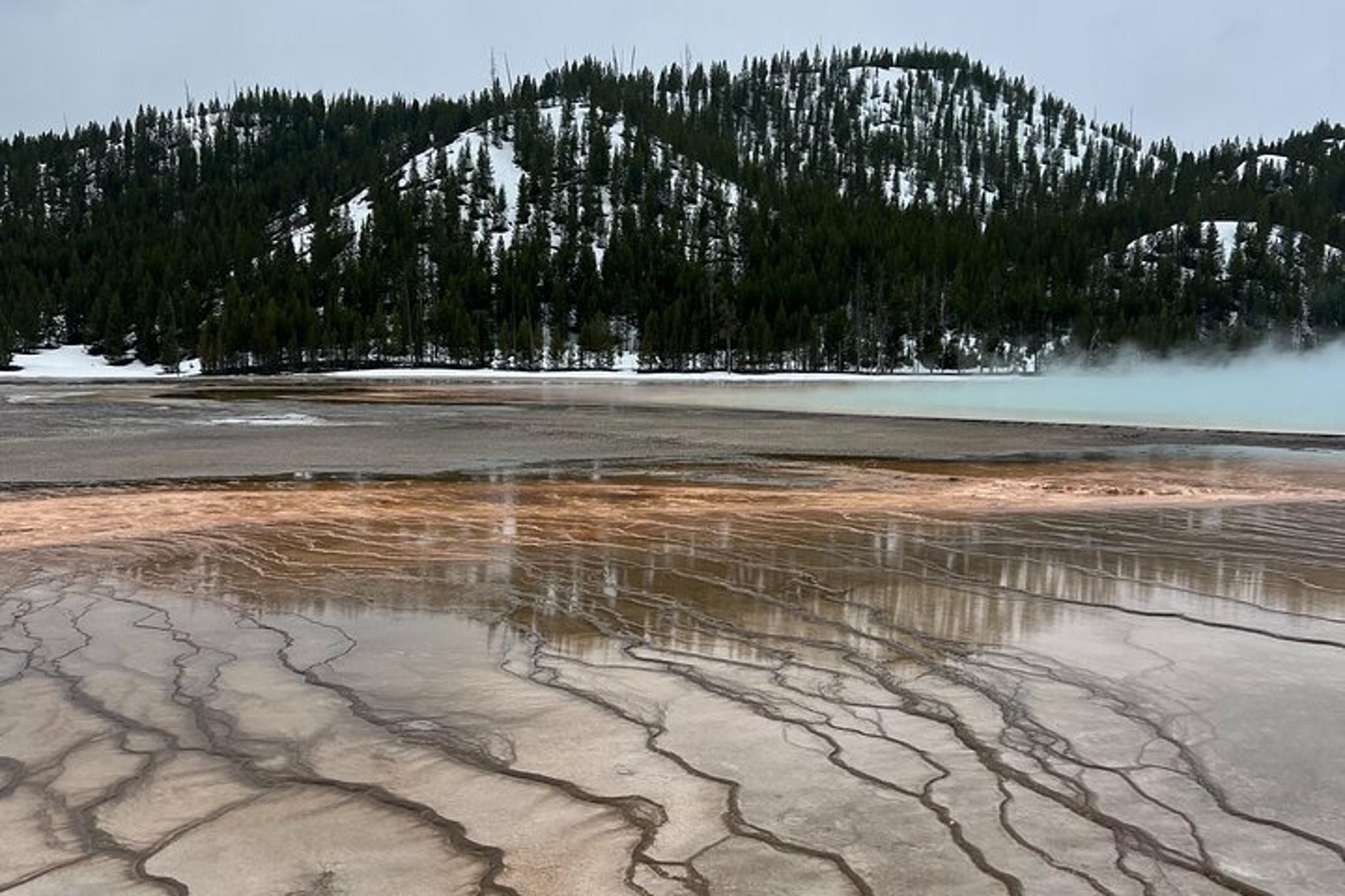 Yellowstone Safari Tour with Old Faithful & Grand Prismatic - Image 2