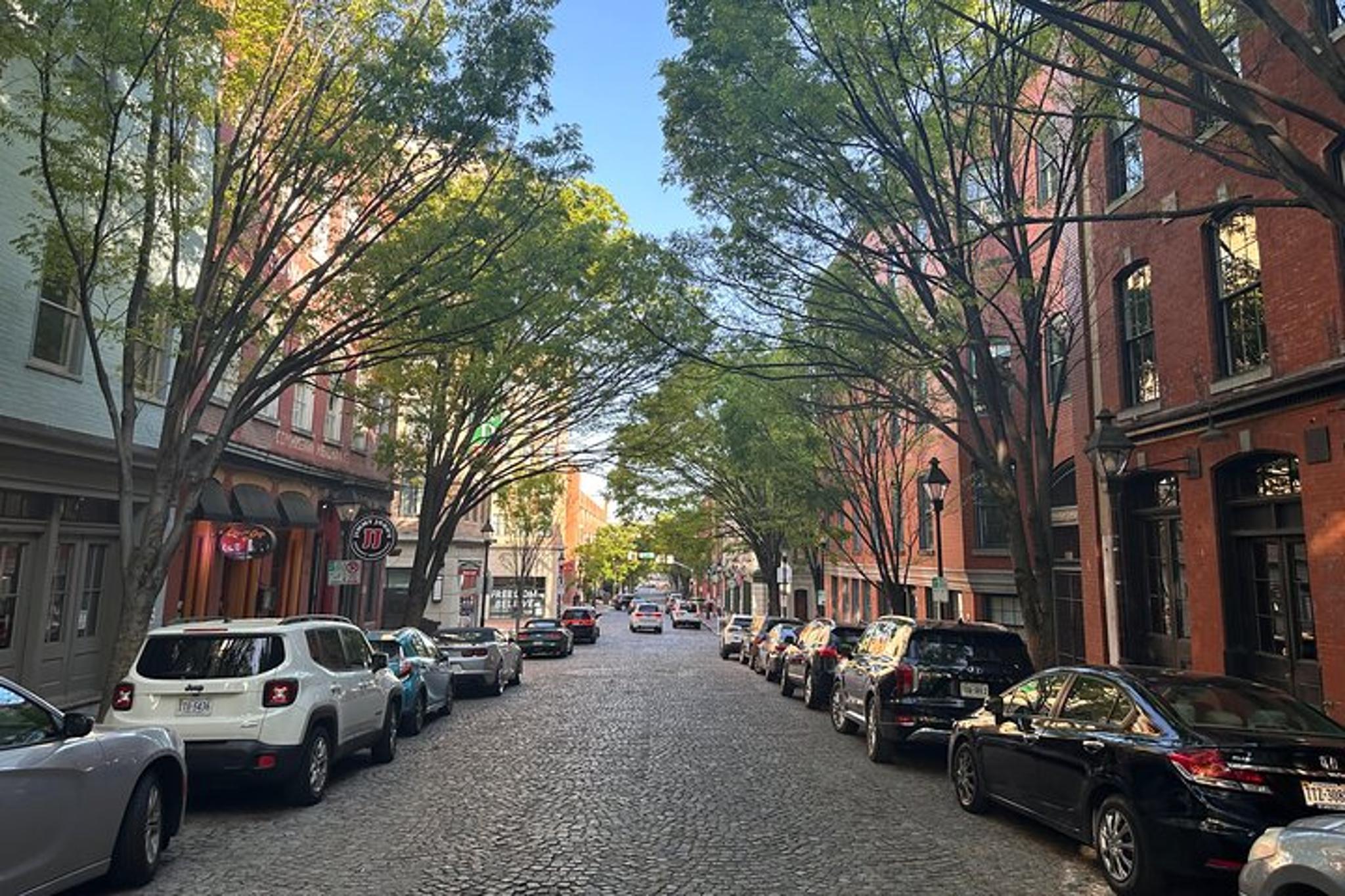 Richmond Electric Cart Sightseeing Tour - Image 2