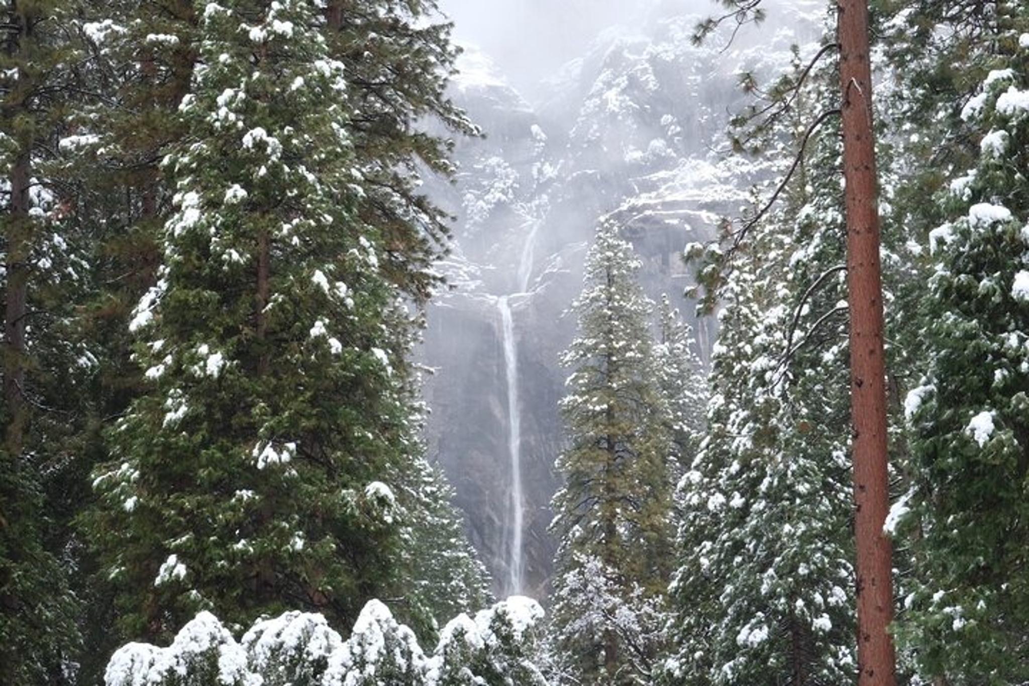 Yosemite Valley Winter Hiking Tour - Image 6