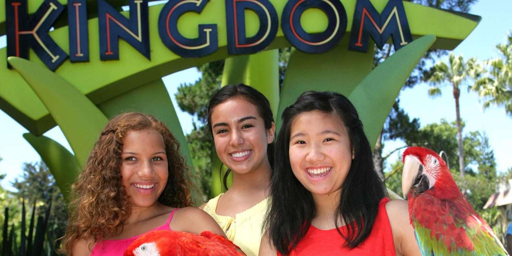 San Francisco Six Flags Discovery Kingdom Admission - Image 4