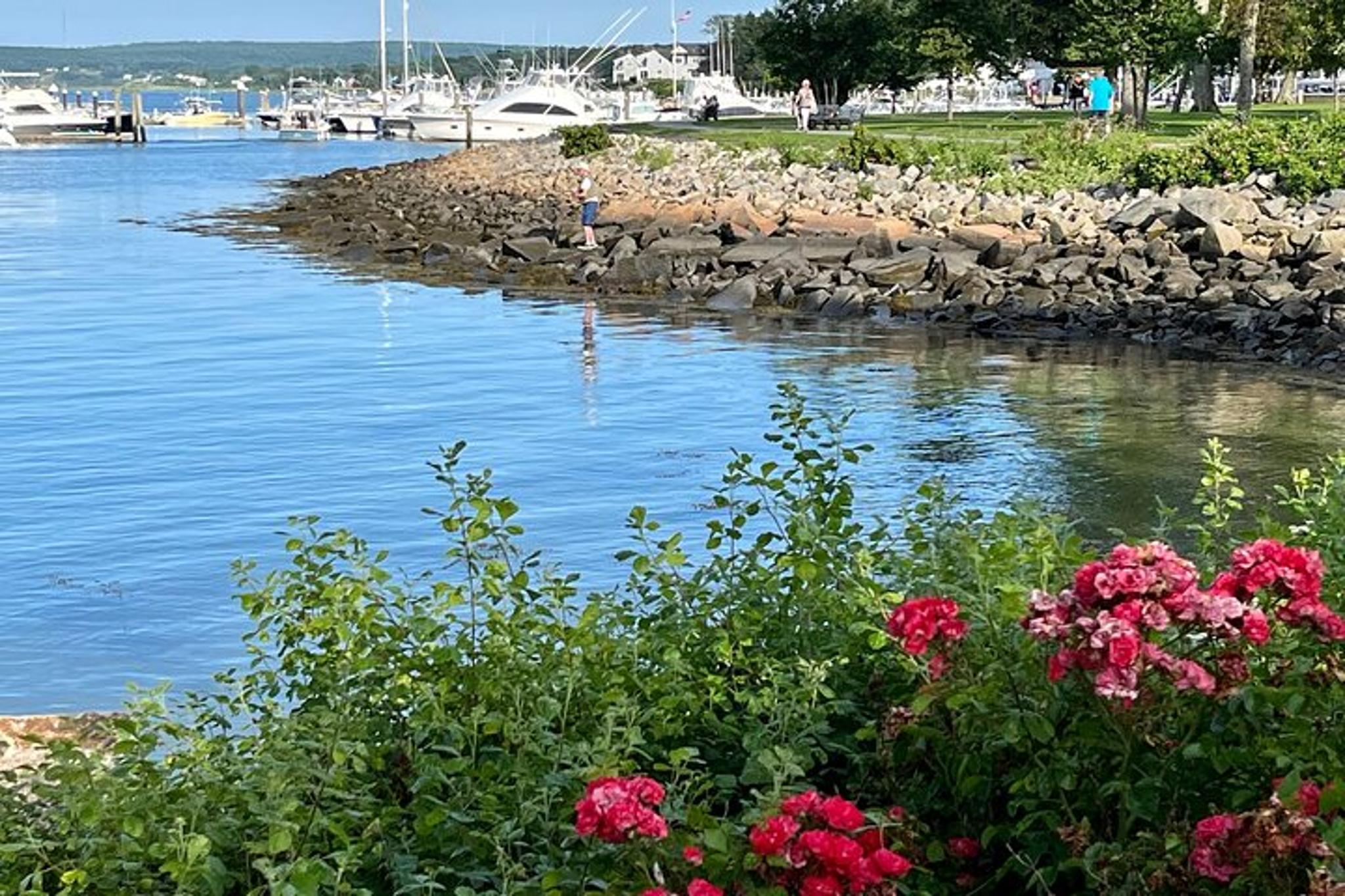 Boston Plymouth Private Tour 4 hr - Image 6