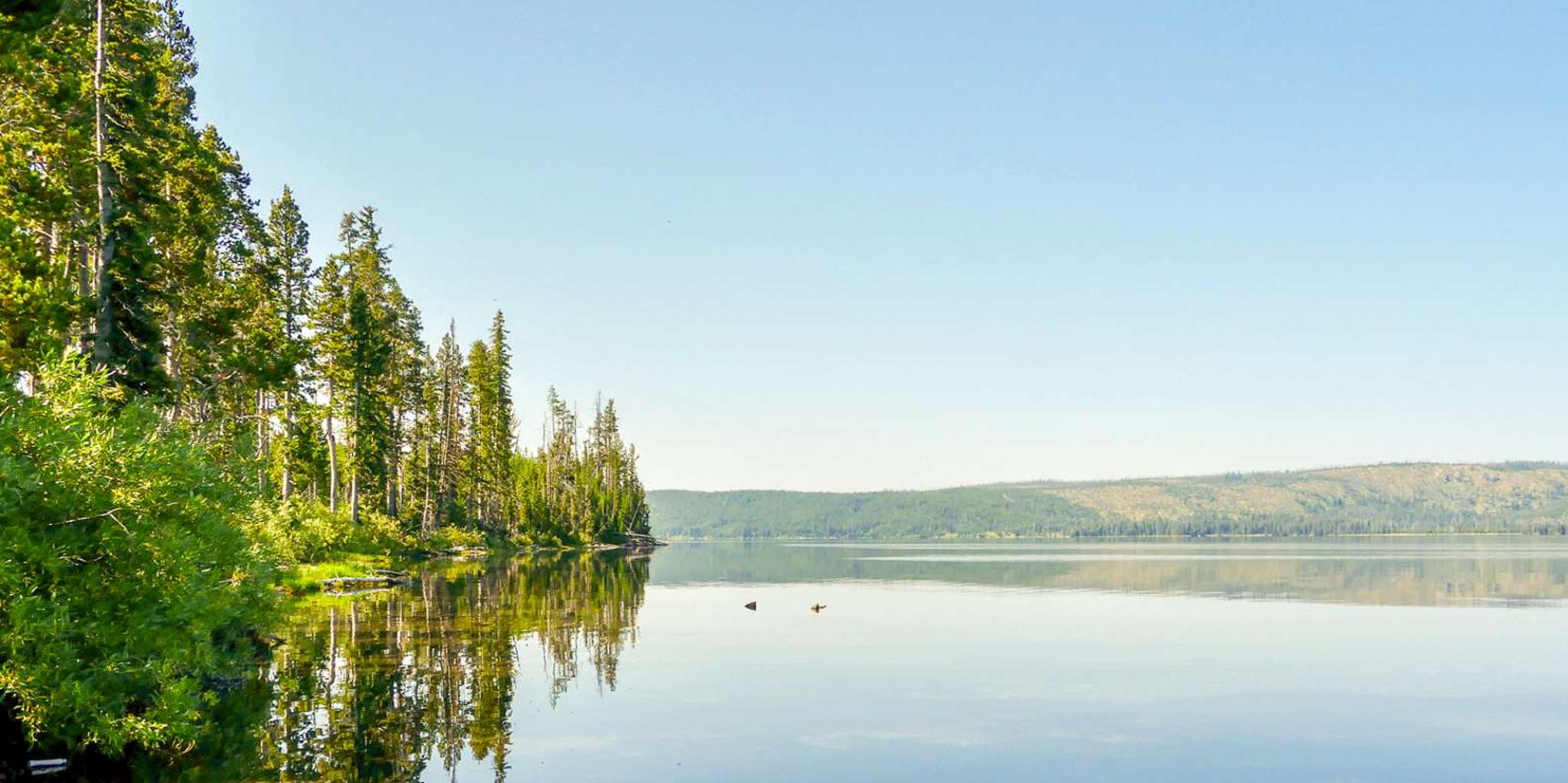 Jackson Lewis Lake Fishing Trip - Image 4