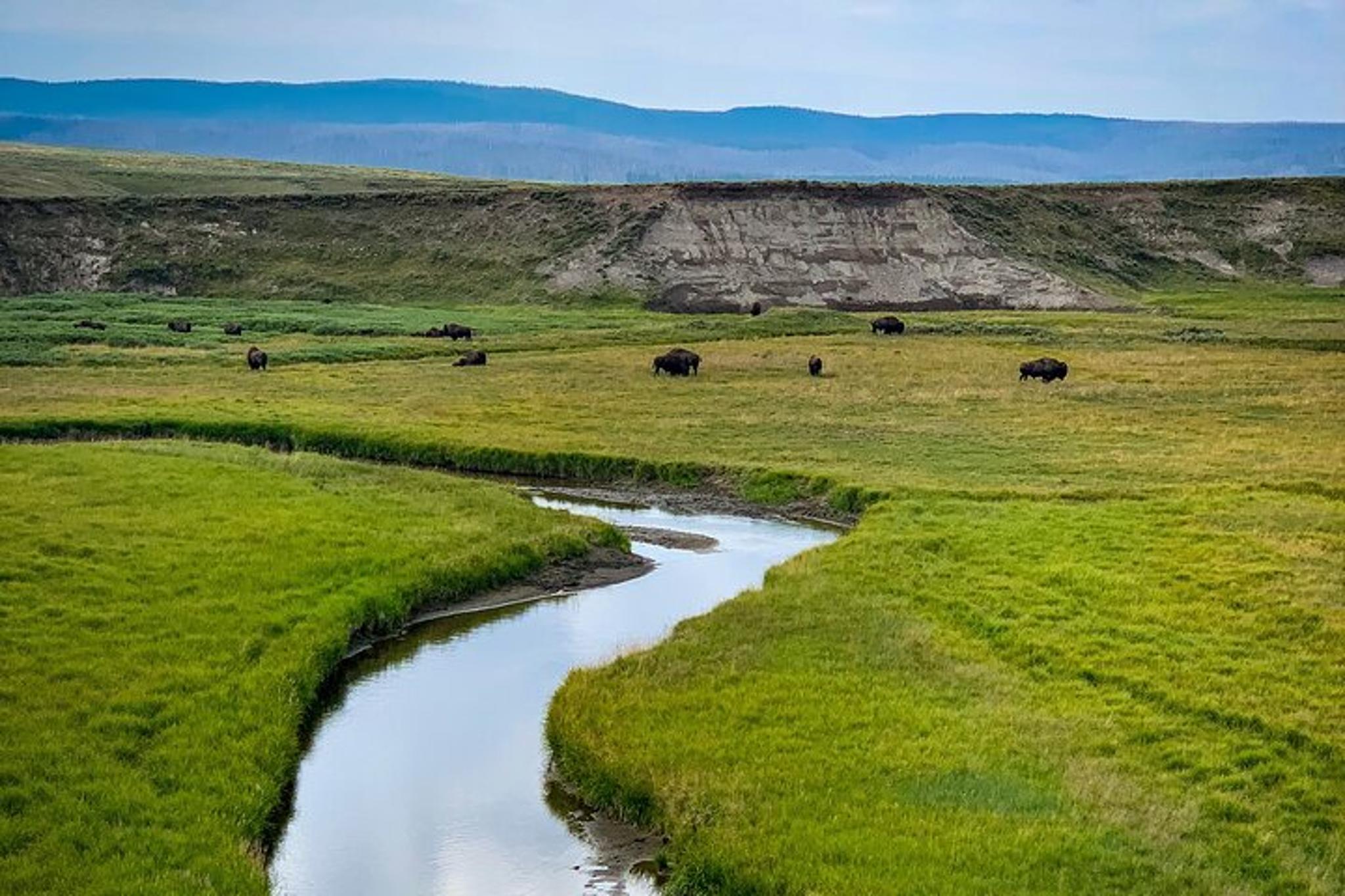 Yellowstone Highlights Tour - Image 2