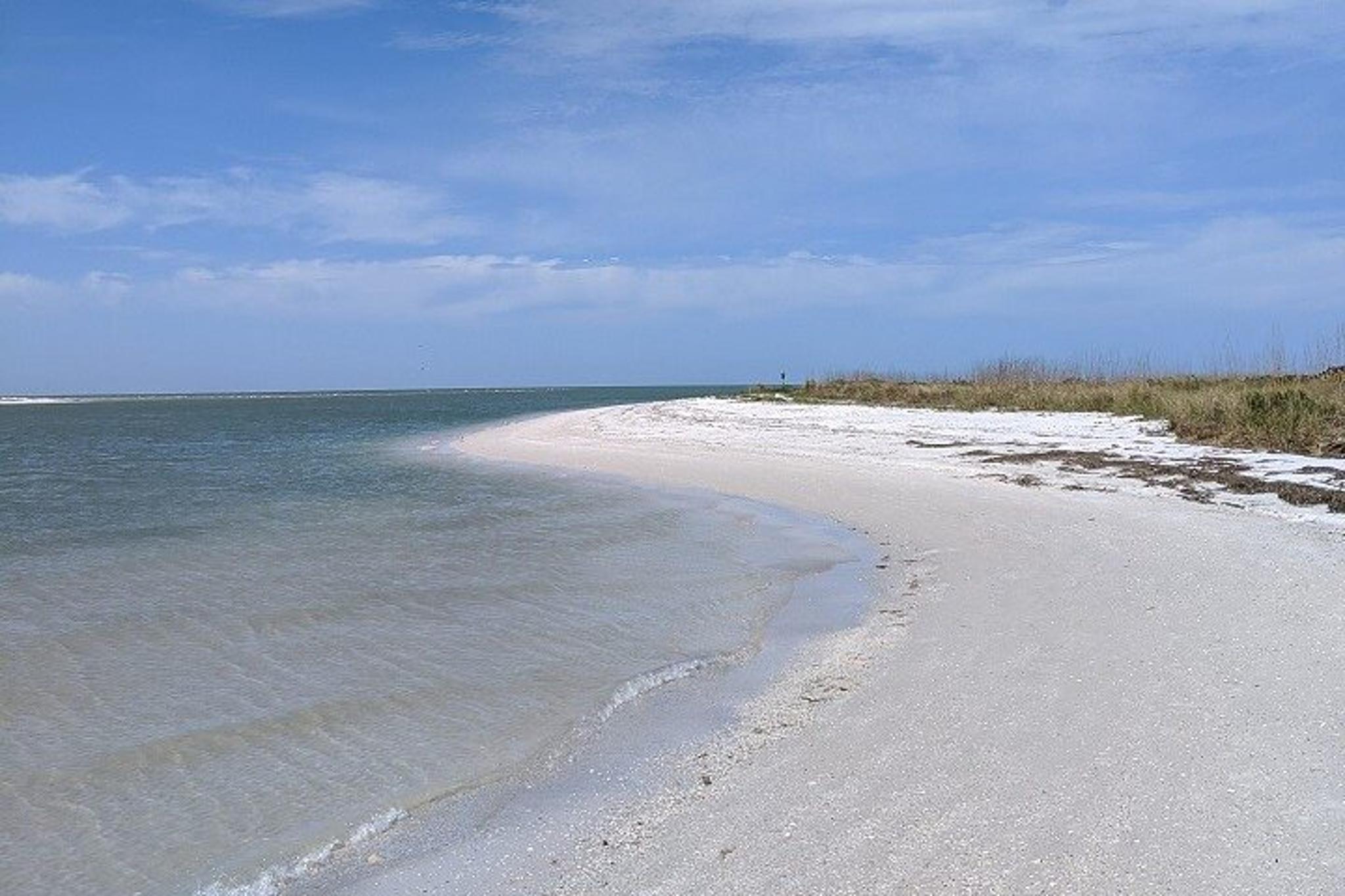 Tierra Verde Shell Key Ferry 20 min - Image 6