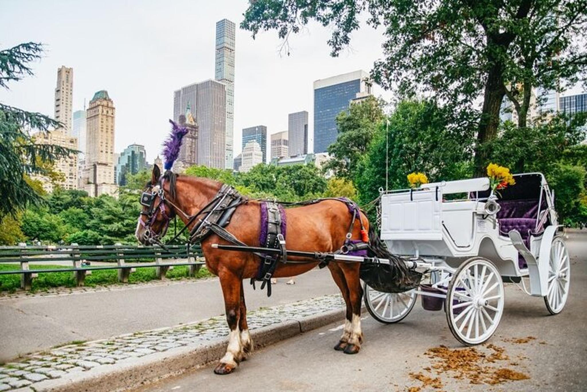 New York City Central Park Horse Carriage Ride