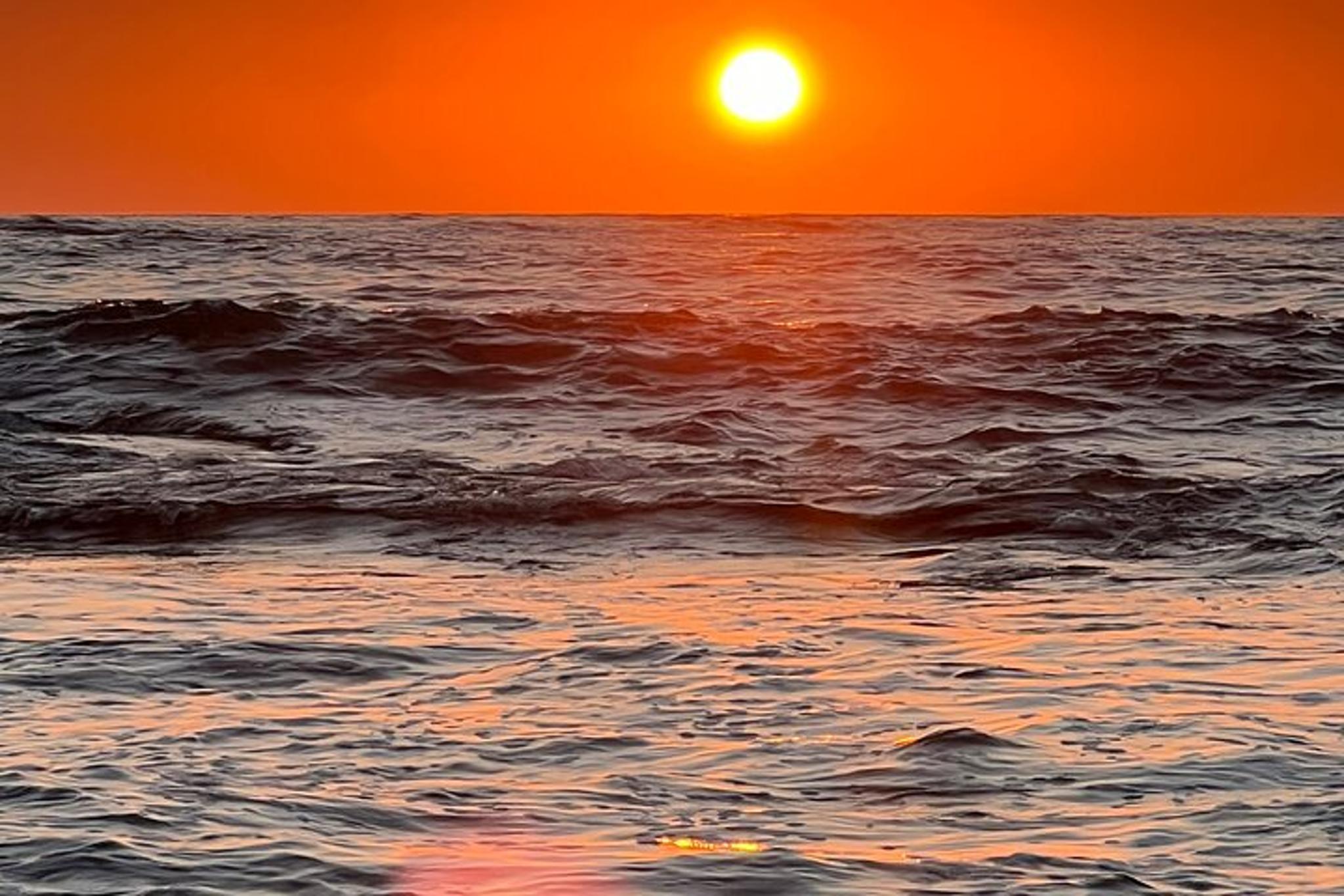 La Jolla Village Walking Tour - Image 6