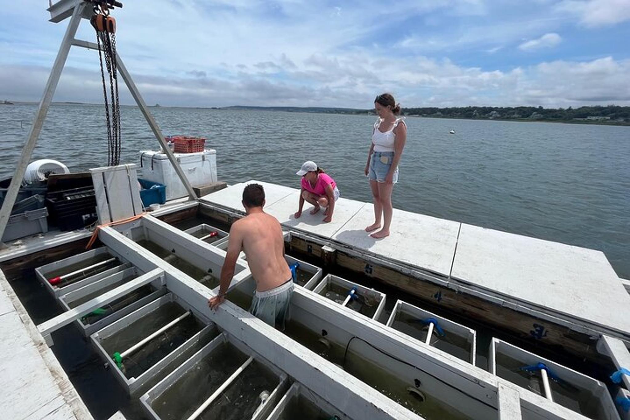 Plymouth Oyster Farm Experience - Image 3