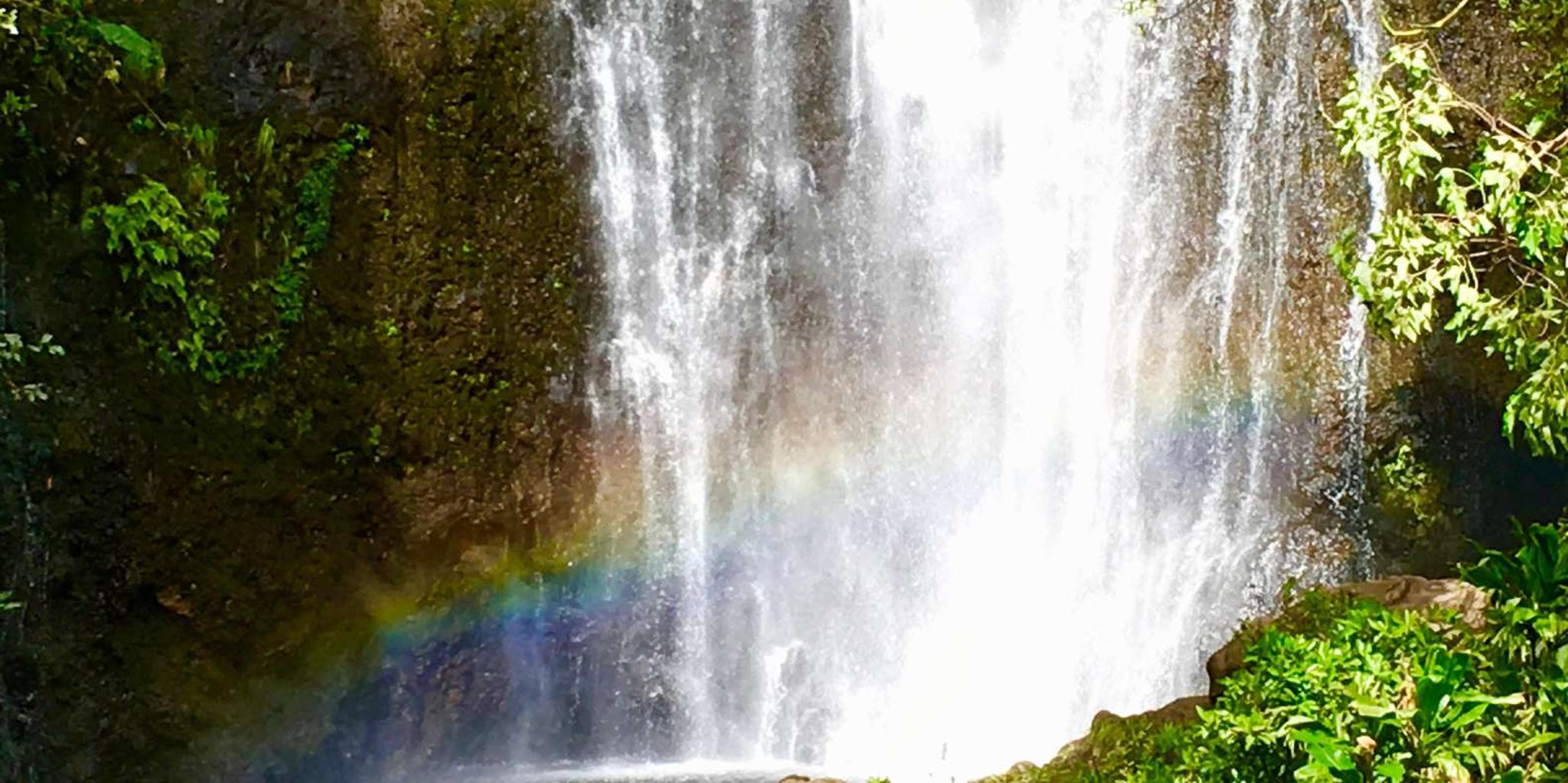 East Maui Rainforest and Road to Hana Tour - Image 1