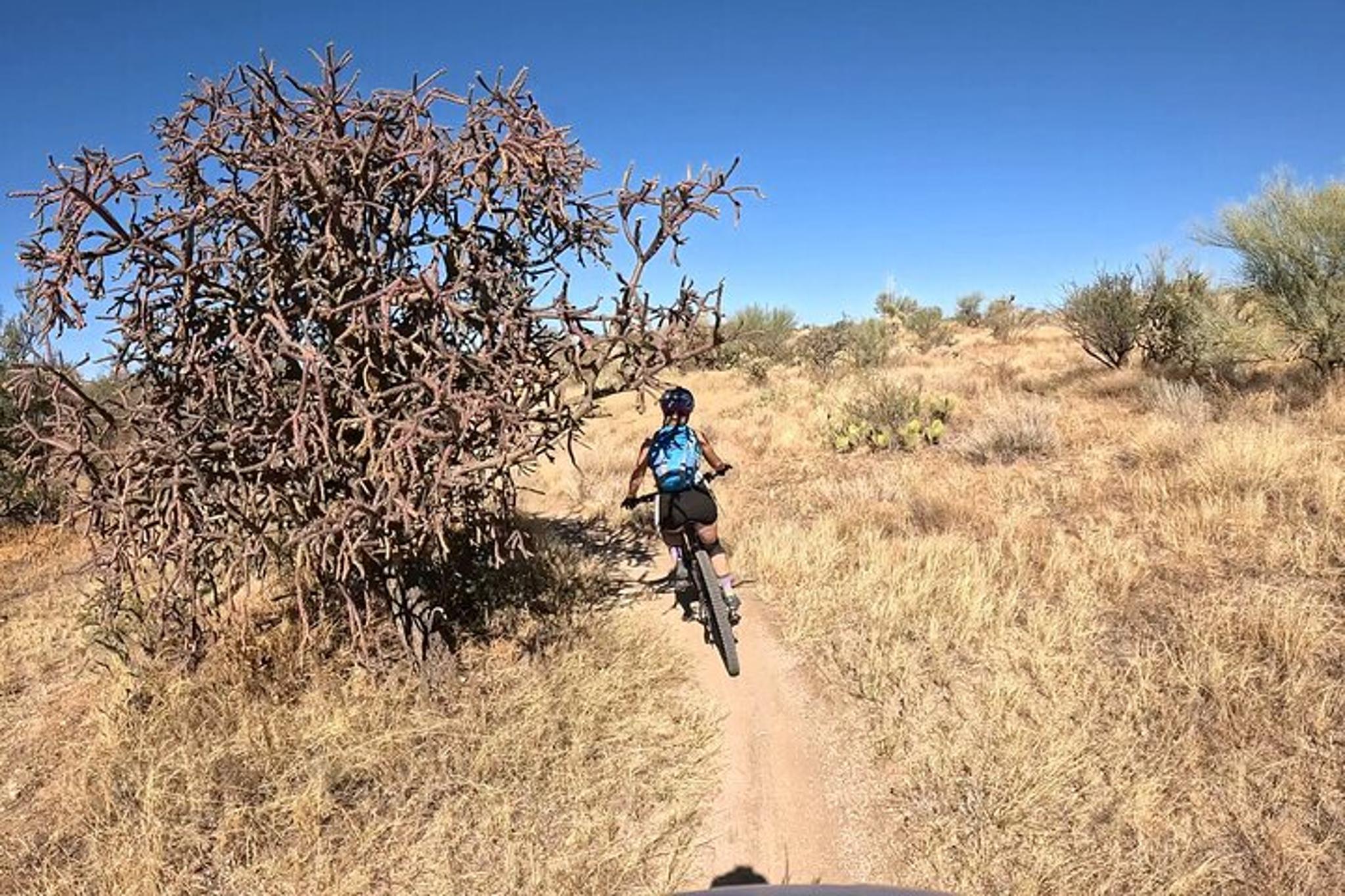 Tucson Mountain Bike Adventure - Image 2